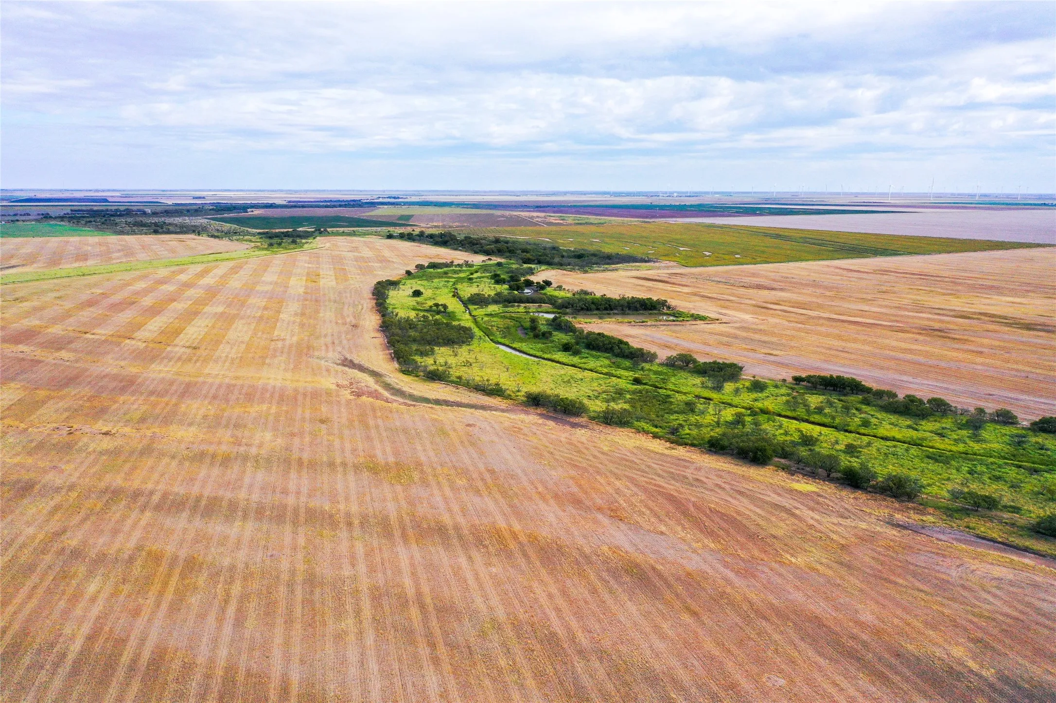 Ranch For Sale in Haskell County , TBD CR 223, Weinert, Texas 76388, 0, 0, Garage spaces, 0 Sqft, built in 0, mls#20755810, Real Estate Agent in Weinert, Homes For Sale in Haskell county, Homes For Sale in Weinert, Realtor in Weinert Texas, Real Estate Brokerage Independent Realty Texas, Luminita Cordes Realtor