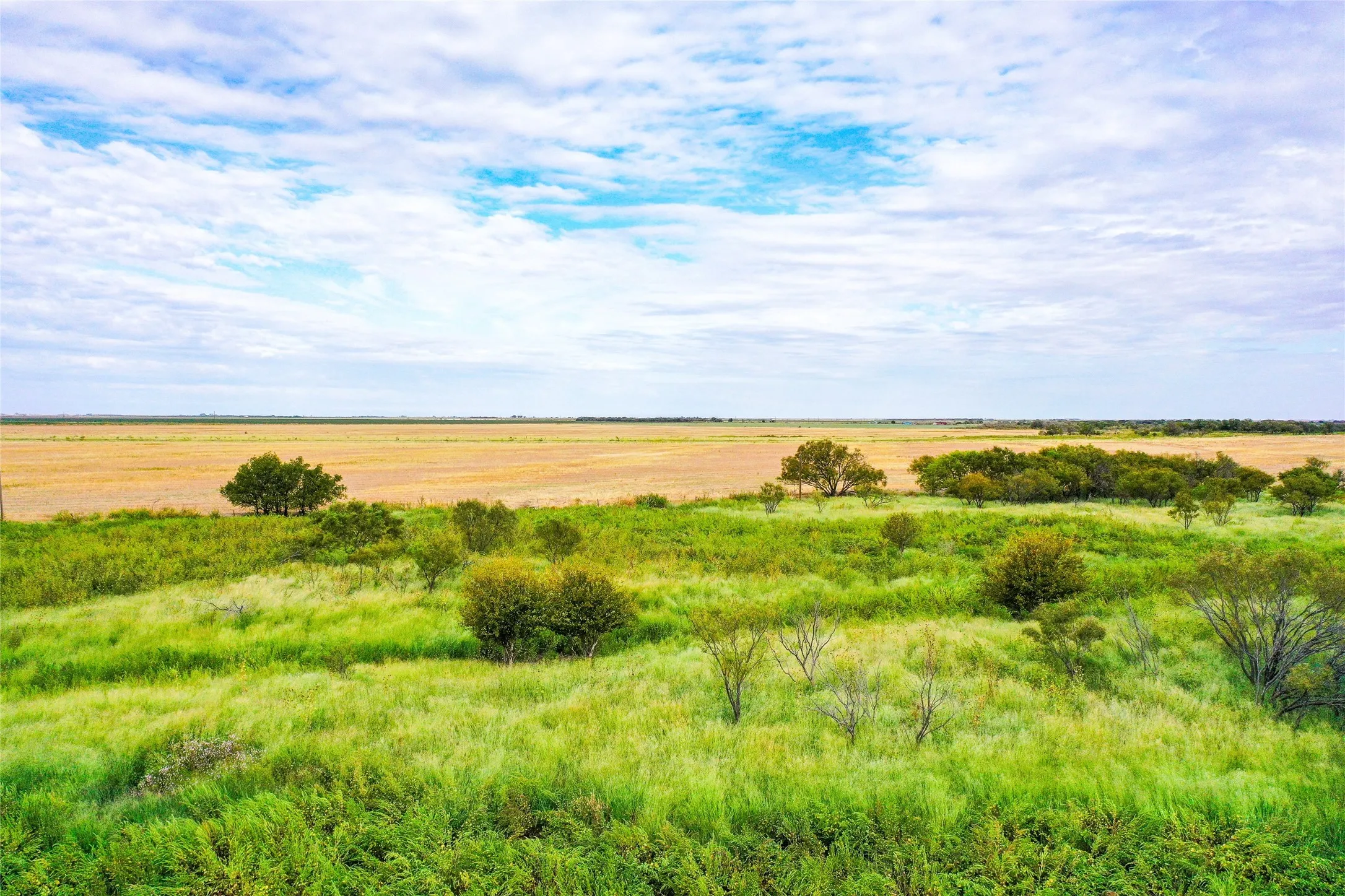 Ranch For Sale in Haskell County , TBD CR 223, Weinert, Texas 76388, 0, 0, Garage spaces, 0 Sqft, built in 0, mls#20755810, Real Estate Agent in Weinert, Homes For Sale in Haskell county, Homes For Sale in Weinert, Realtor in Weinert Texas, Real Estate Brokerage Independent Realty Texas, Luminita Cordes Realtor
