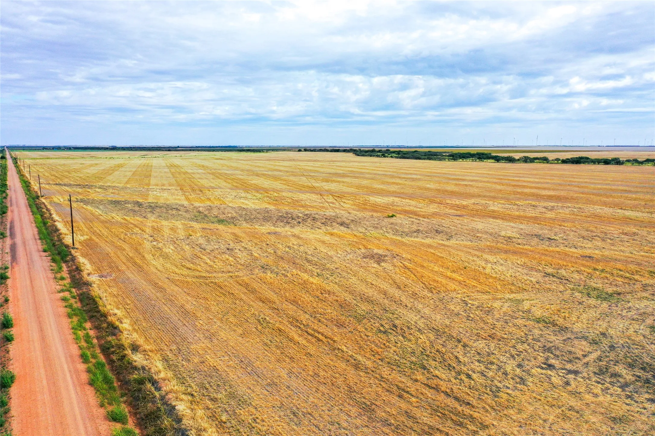 Ranch For Sale in Haskell County , TBD CR 223, Weinert, Texas 76388, 0, 0, Garage spaces, 0 Sqft, built in 0, mls#20755810, Real Estate Agent in Weinert, Homes For Sale in Haskell county, Homes For Sale in Weinert, Realtor in Weinert Texas, Real Estate Brokerage Independent Realty Texas, Luminita Cordes Realtor