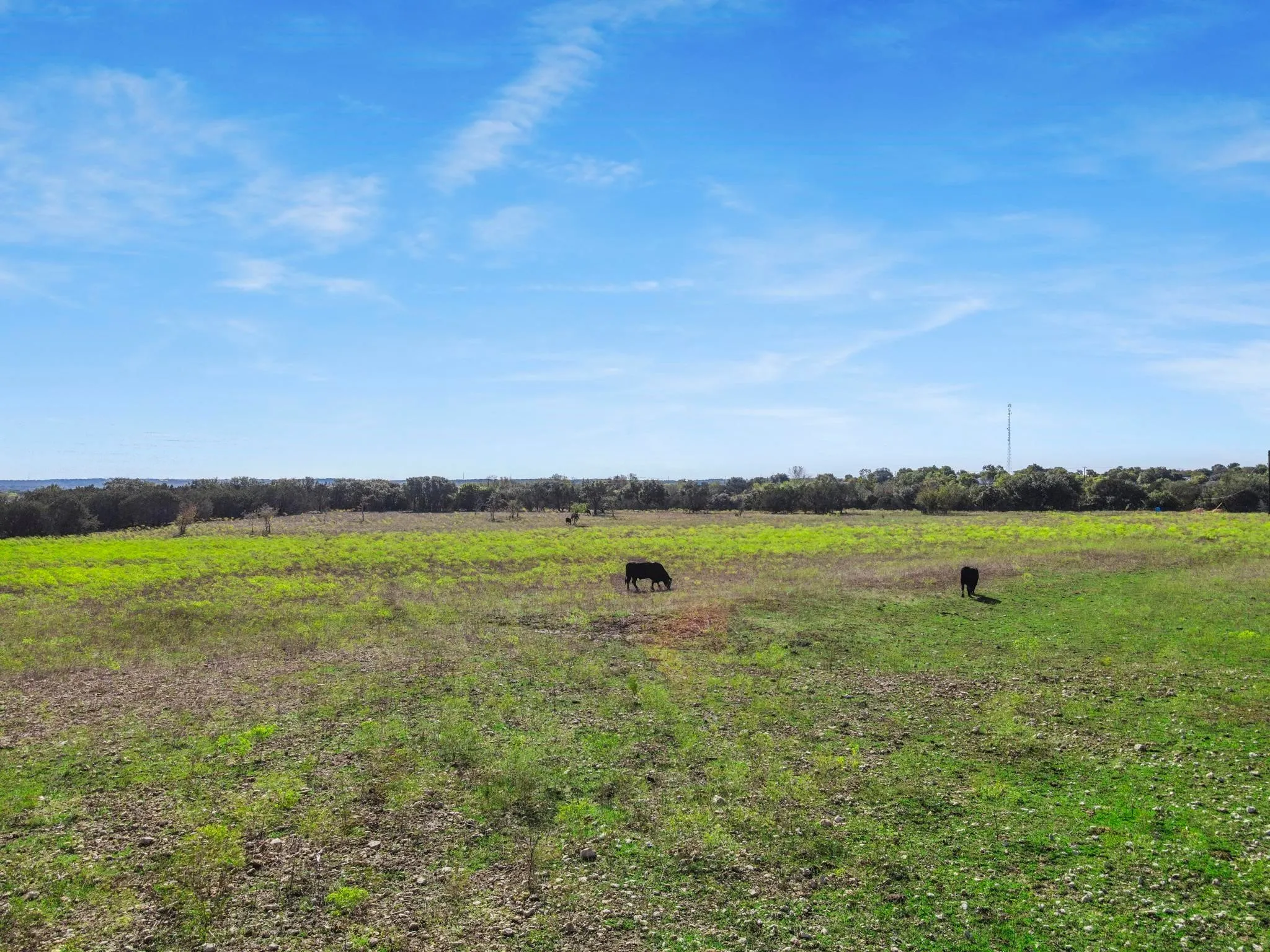 View of yard featuring a rural view