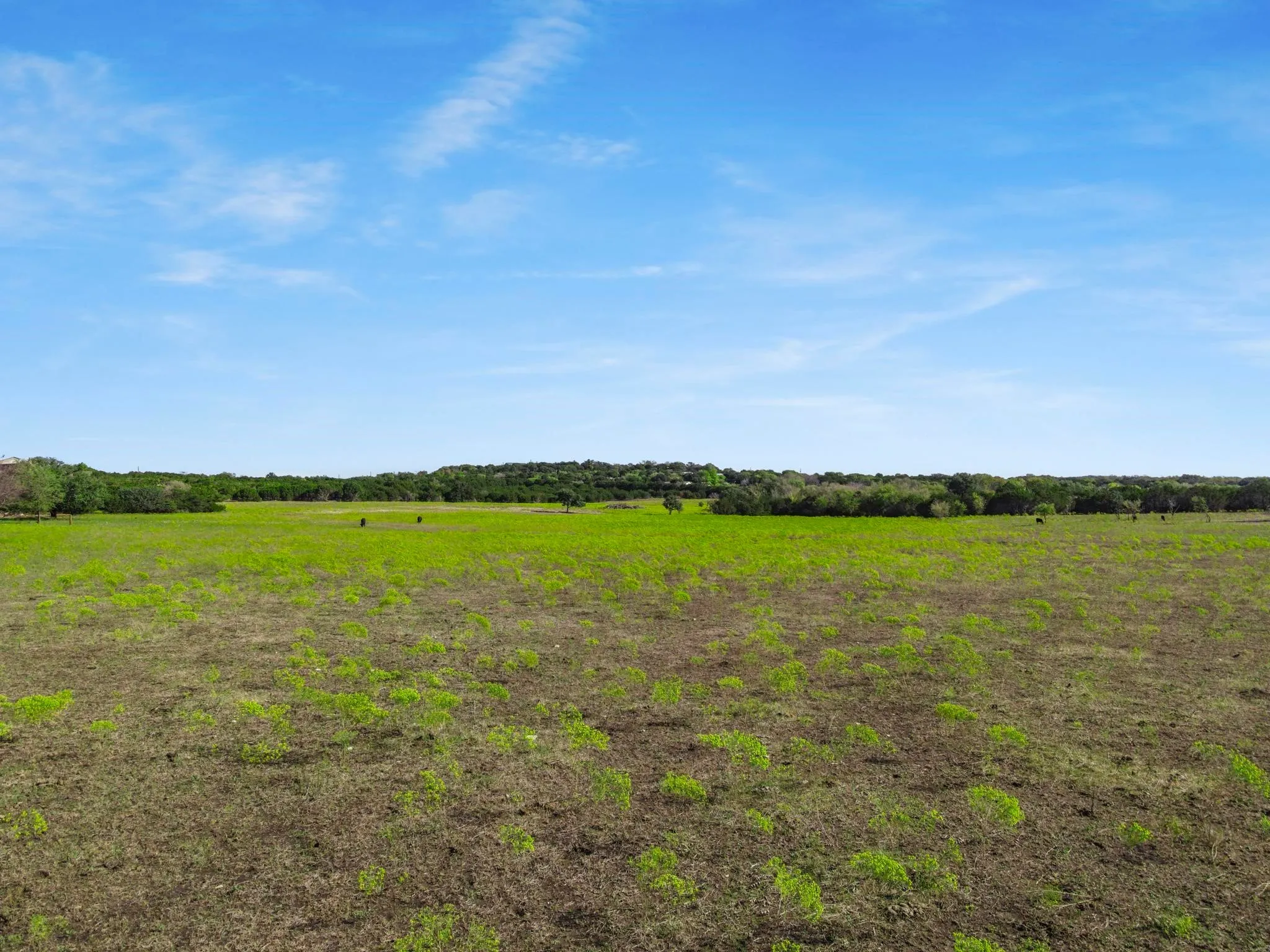 View of local wilderness featuring a rural view