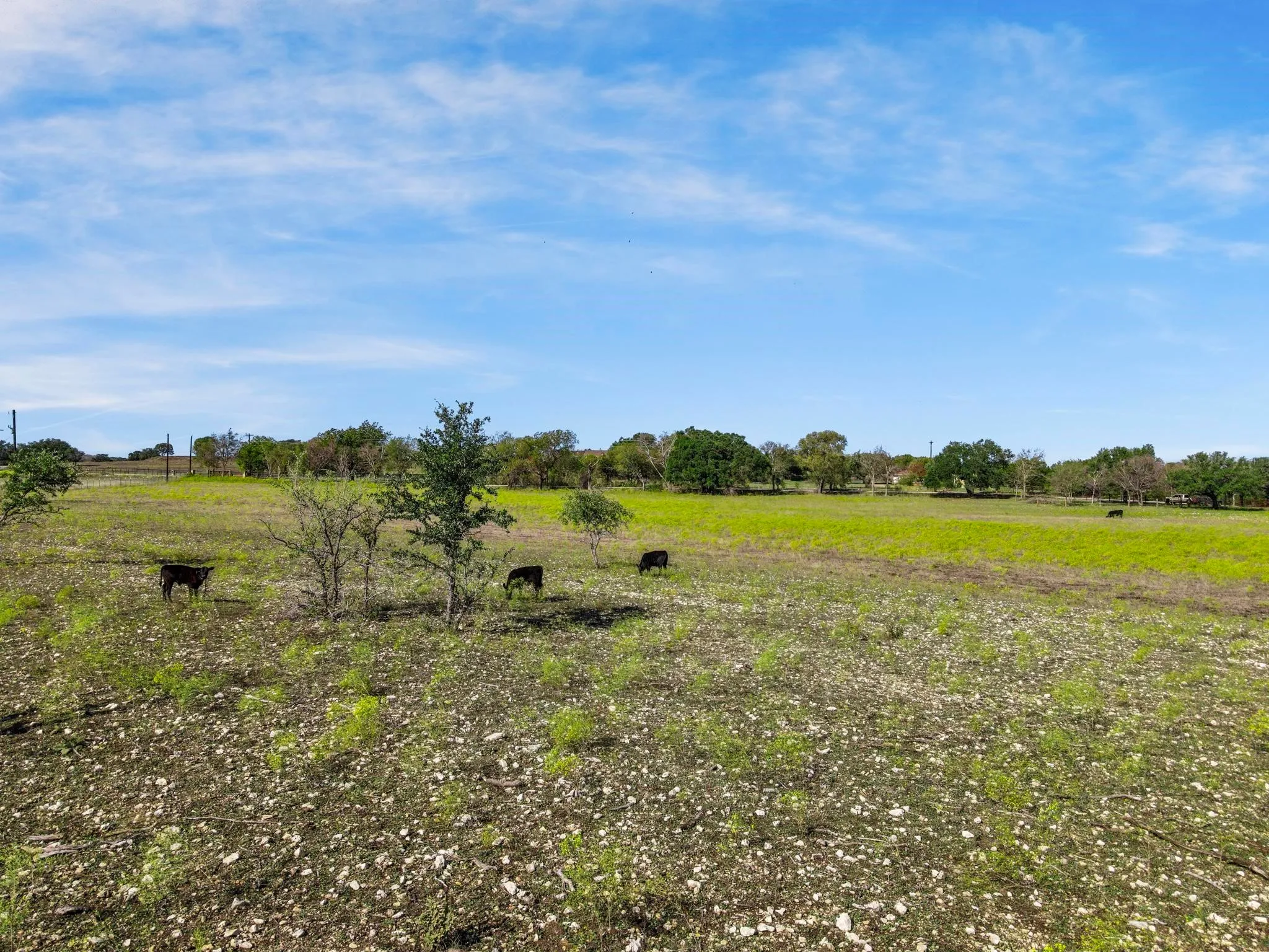 View of nature with a rural view