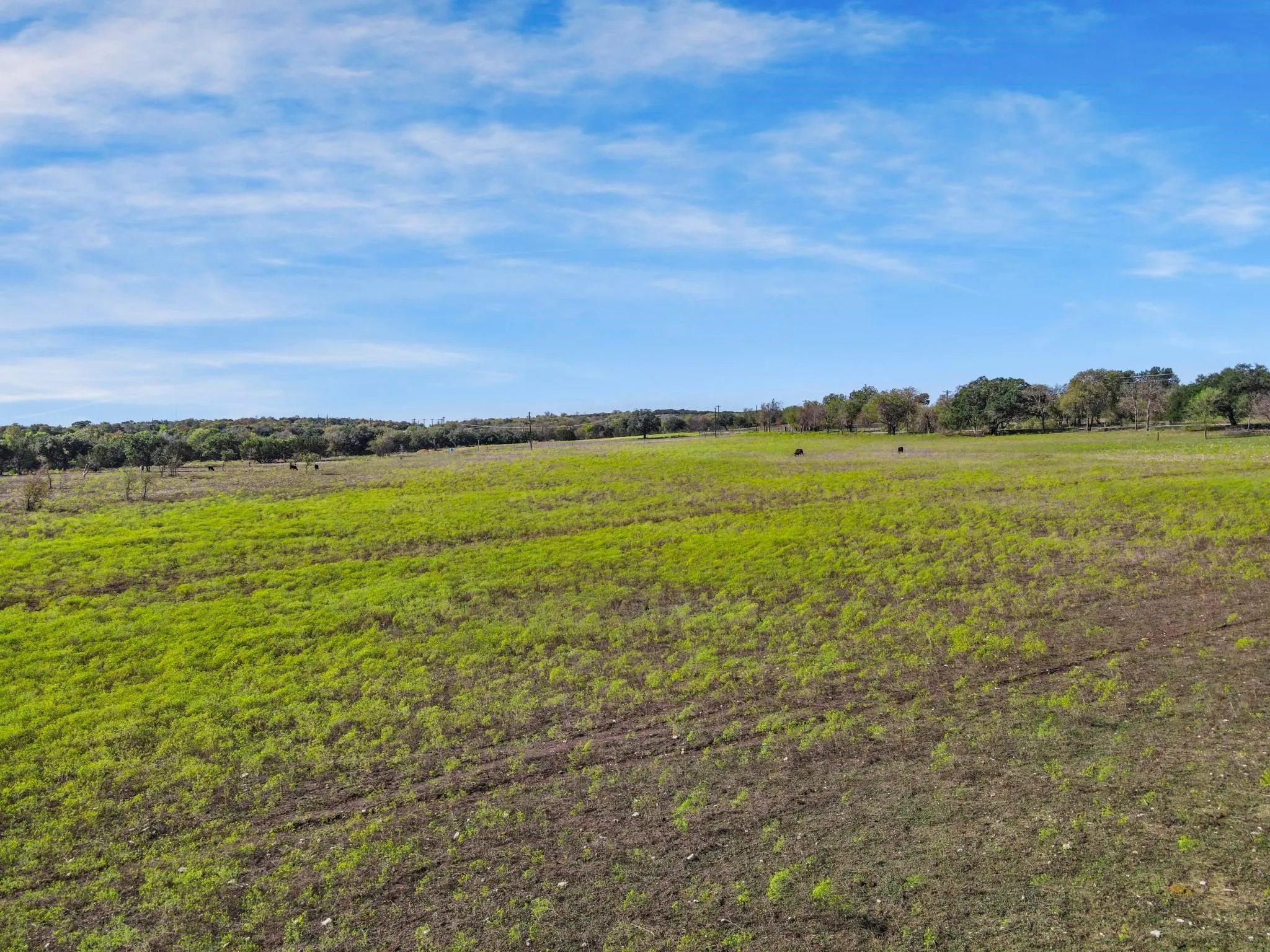 Unimproved Land For Sale in Parker County , 100 Tiffany Court, Azle, Texas 76085, 0, 0, Garage spaces, 0 Sqft, built in 0, mls#20760902, Real Estate Agent in Azle, Homes For Sale in Parker county, Homes For Sale in Azle, Realtor in Azle Texas, Real Estate Brokerage Independent Realty Texas, Luminita Cordes Realtor
