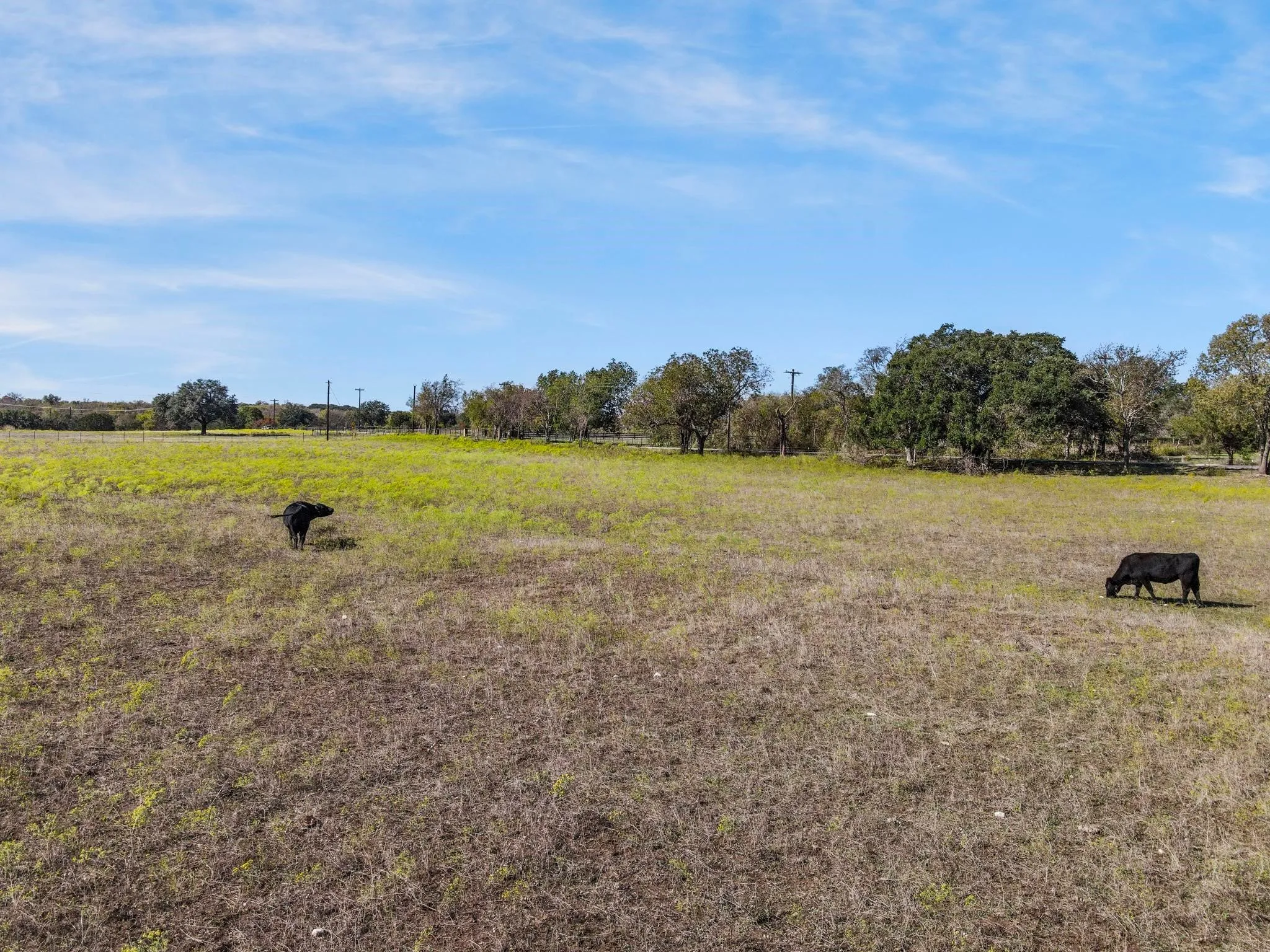 View of landscape featuring a rural view