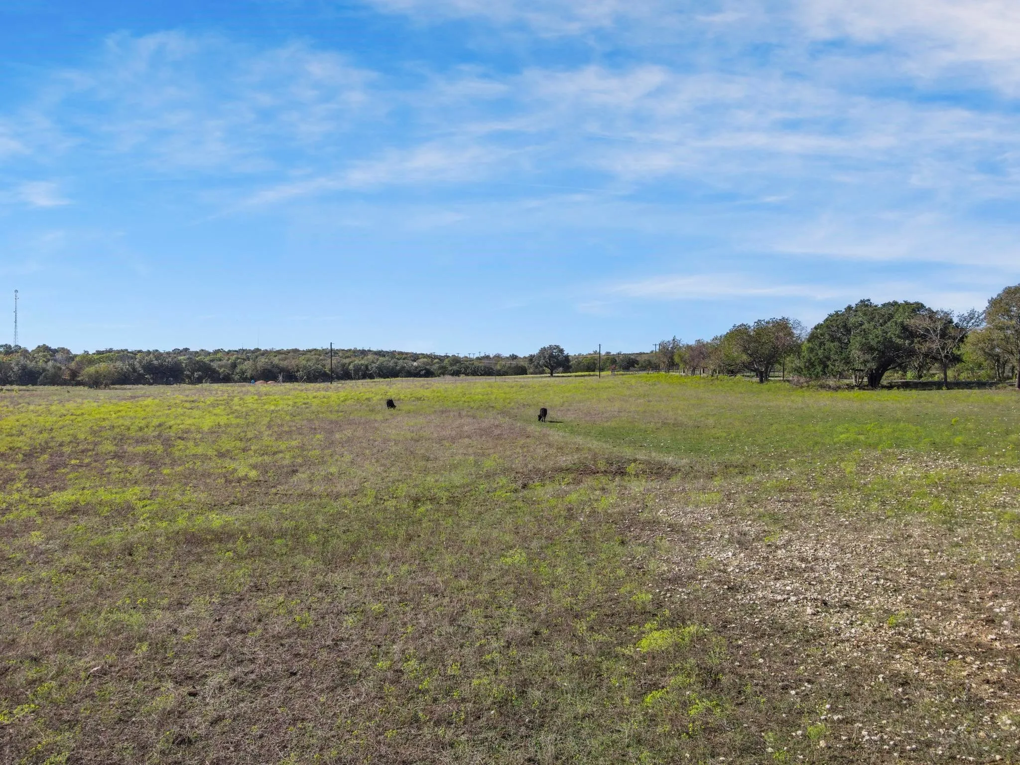 View of nature featuring a rural view