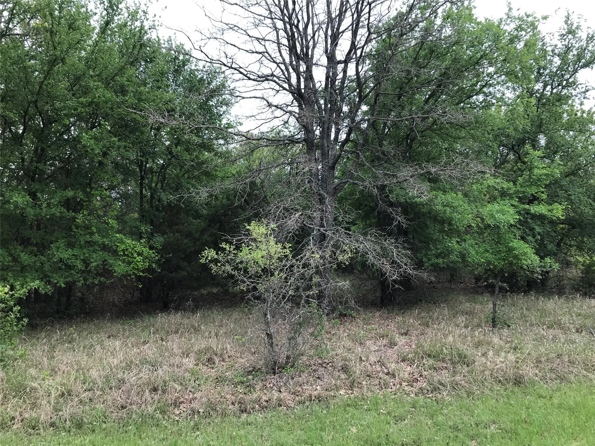 Unimproved Land For Sale in Hill County , 31037 Doe Run Court, Whitney, Texas 76692, 0, 0, Garage spaces, 0 Sqft, built in 0, mls#20760979, Real Estate Agent in Whitney, Homes For Sale in Hill county, Homes For Sale in Whitney, Realtor in Whitney Texas, Real Estate Brokerage Independent Realty Texas, Luminita Cordes Realtor