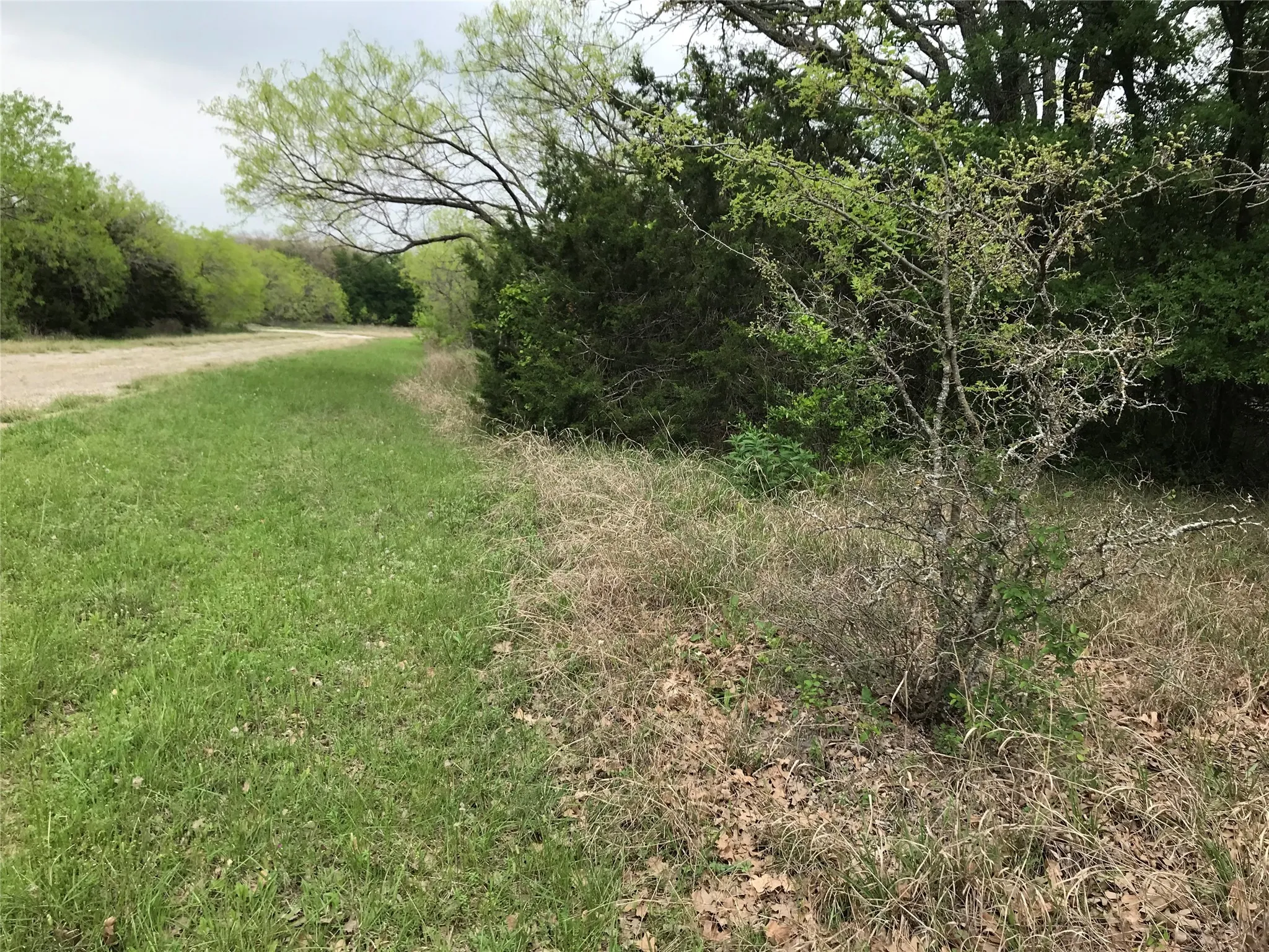 Unimproved Land For Sale in Hill County , 31037 Doe Run Court, Whitney, Texas 76692, 0, 0, Garage spaces, 0 Sqft, built in 0, mls#20760979, Real Estate Agent in Whitney, Homes For Sale in Hill county, Homes For Sale in Whitney, Realtor in Whitney Texas, Real Estate Brokerage Independent Realty Texas, Luminita Cordes Realtor
