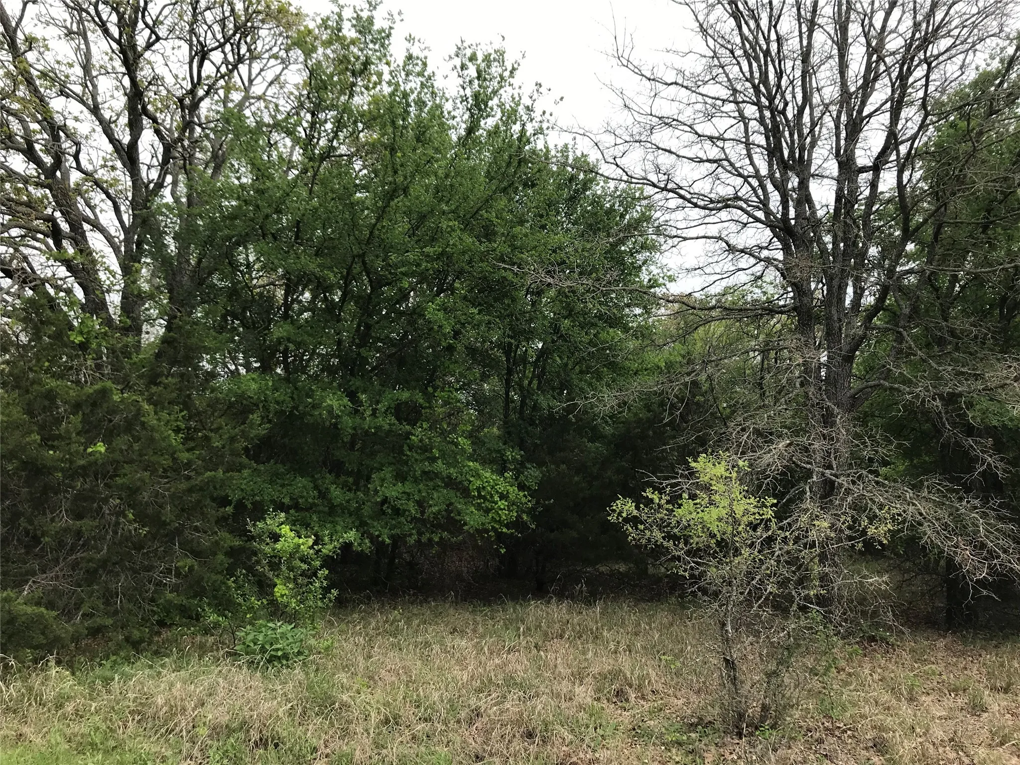 Unimproved Land For Sale in Hill County , 31037 Doe Run Court, Whitney, Texas 76692, 0, 0, Garage spaces, 0 Sqft, built in 0, mls#20760979, Real Estate Agent in Whitney, Homes For Sale in Hill county, Homes For Sale in Whitney, Realtor in Whitney Texas, Real Estate Brokerage Independent Realty Texas, Luminita Cordes Realtor