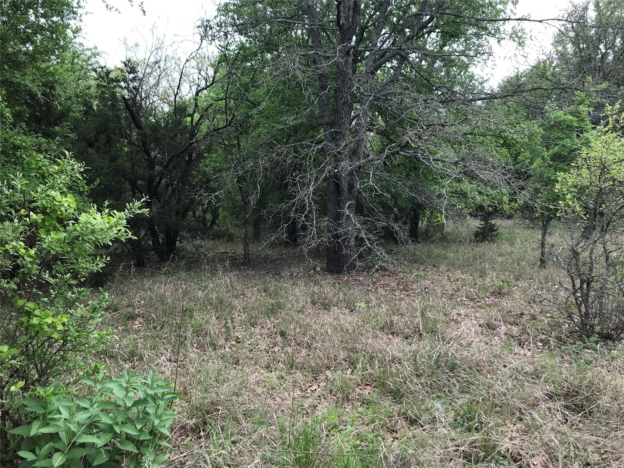 Unimproved Land For Sale in Hill County , 31037 Doe Run Court, Whitney, Texas 76692, 0, 0, Garage spaces, 0 Sqft, built in 0, mls#20760979, Real Estate Agent in Whitney, Homes For Sale in Hill county, Homes For Sale in Whitney, Realtor in Whitney Texas, Real Estate Brokerage Independent Realty Texas, Luminita Cordes Realtor