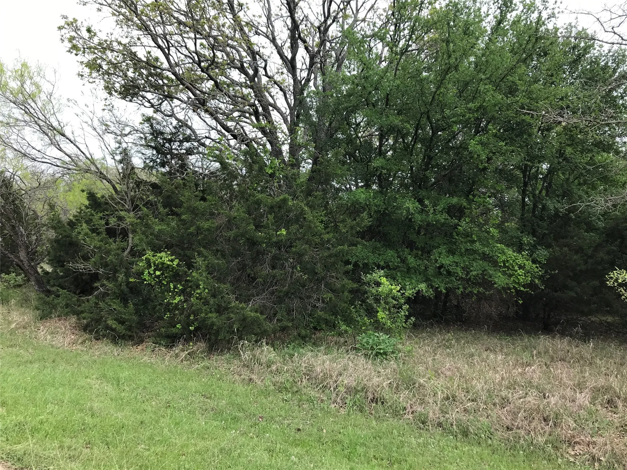 Unimproved Land For Sale in Hill County , 31037 Doe Run Court, Whitney, Texas 76692, 0, 0, Garage spaces, 0 Sqft, built in 0, mls#20760979, Real Estate Agent in Whitney, Homes For Sale in Hill county, Homes For Sale in Whitney, Realtor in Whitney Texas, Real Estate Brokerage Independent Realty Texas, Luminita Cordes Realtor
