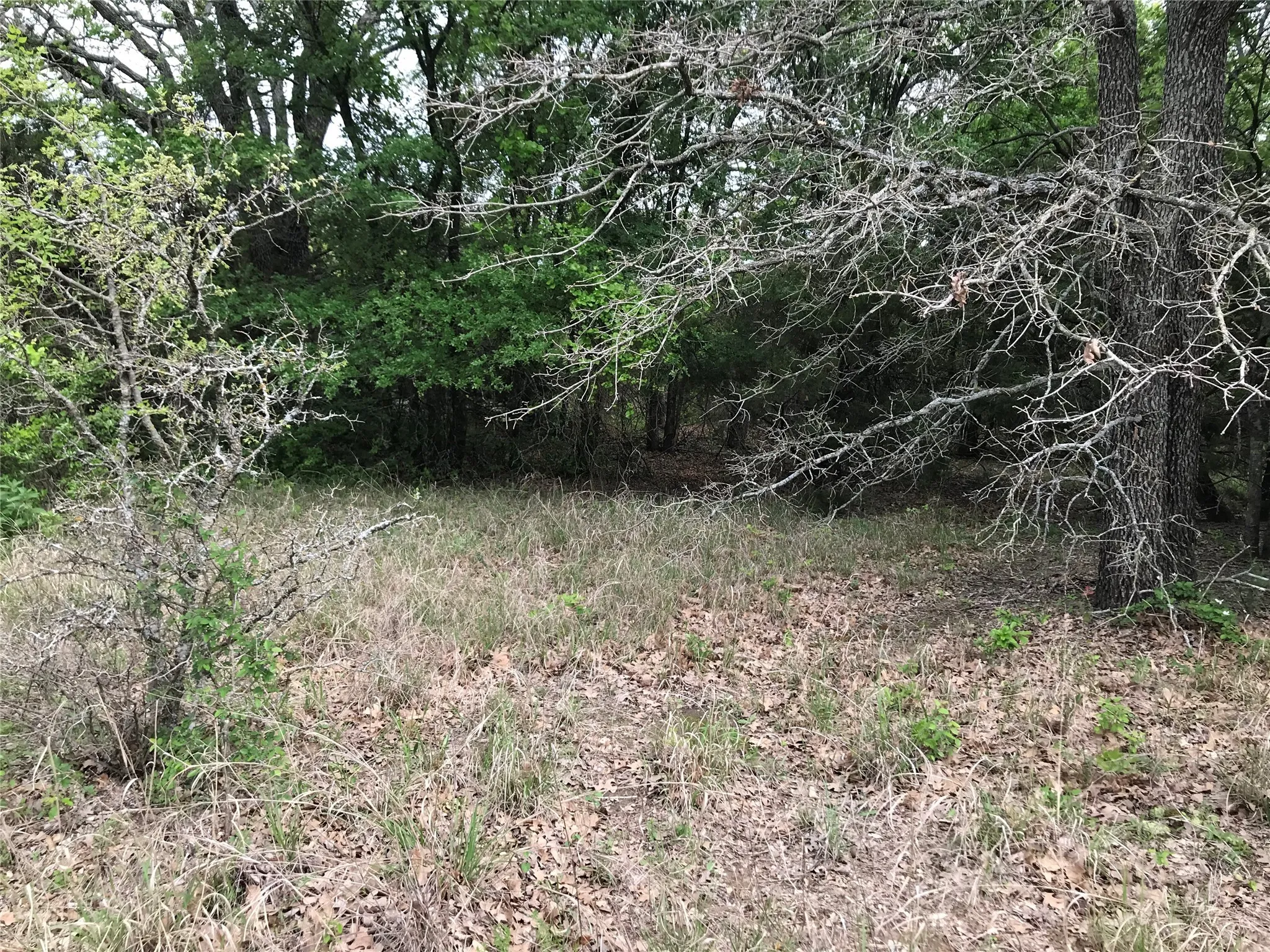 Unimproved Land For Sale in Hill County , 31037 Doe Run Court, Whitney, Texas 76692, 0, 0, Garage spaces, 0 Sqft, built in 0, mls#20760979, Real Estate Agent in Whitney, Homes For Sale in Hill county, Homes For Sale in Whitney, Realtor in Whitney Texas, Real Estate Brokerage Independent Realty Texas, Luminita Cordes Realtor