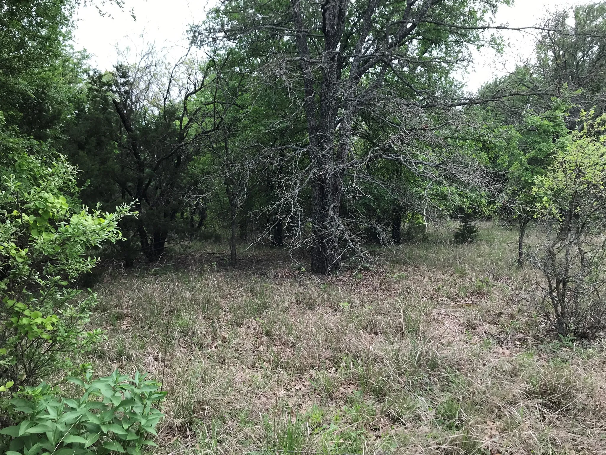 Unimproved Land For Sale in Hill County , 31037 Doe Run Court, Whitney, Texas 76692, 0, 0, Garage spaces, 0 Sqft, built in 0, mls#20760979, Real Estate Agent in Whitney, Homes For Sale in Hill county, Homes For Sale in Whitney, Realtor in Whitney Texas, Real Estate Brokerage Independent Realty Texas, Luminita Cordes Realtor