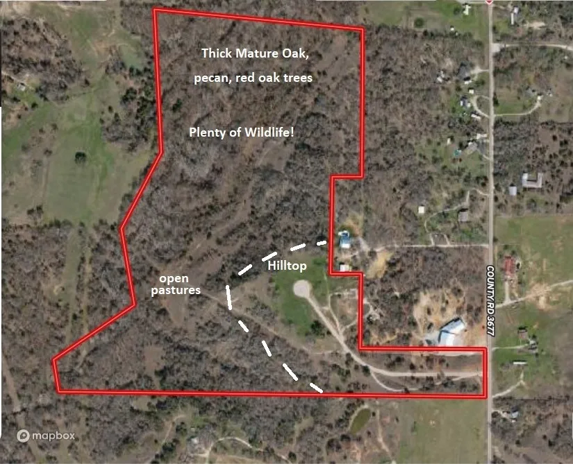 Ranch For Sale in Wise County , 72 ac CR 3677, Paradise, Texas 76073, 0, 0, Garage spaces, 0 Sqft, built in 0, Price $785,000, mls#20763482, Real Estate Agent in Paradise, Homes For Sale in Wise county, Homes For Sale in Paradise, Realtor in Paradise Texas, Real Estate Brokerage Independent Realty Texas, Luminita Cordes Realtor