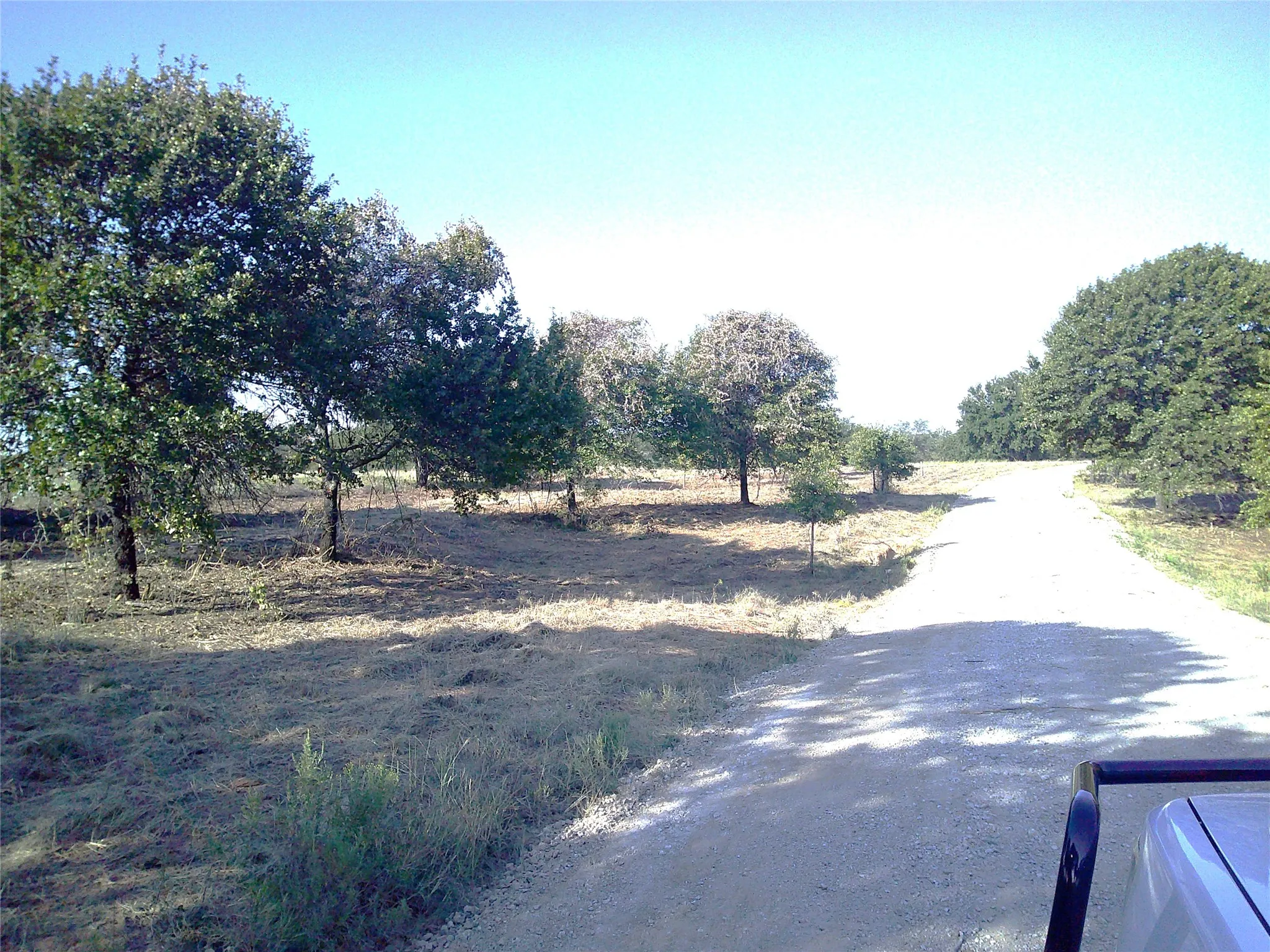 Ranch For Sale in Wise County , 72 ac CR 3677, Paradise, Texas 76073, 0, 0, Garage spaces, 0 Sqft, built in 0, Price $785,000, mls#20763482, Real Estate Agent in Paradise, Homes For Sale in Wise county, Homes For Sale in Paradise, Realtor in Paradise Texas, Real Estate Brokerage Independent Realty Texas, Luminita Cordes Realtor