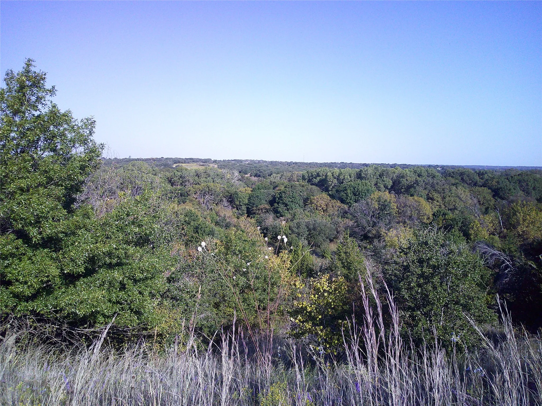 Ranch For Sale in Wise County , 72 ac CR 3677, Paradise, Texas 76073, 0, 0, Garage spaces, 0 Sqft, built in 0, Price $785,000, mls#20763482, Real Estate Agent in Paradise, Homes For Sale in Wise county, Homes For Sale in Paradise, Realtor in Paradise Texas, Real Estate Brokerage Independent Realty Texas, Luminita Cordes Realtor