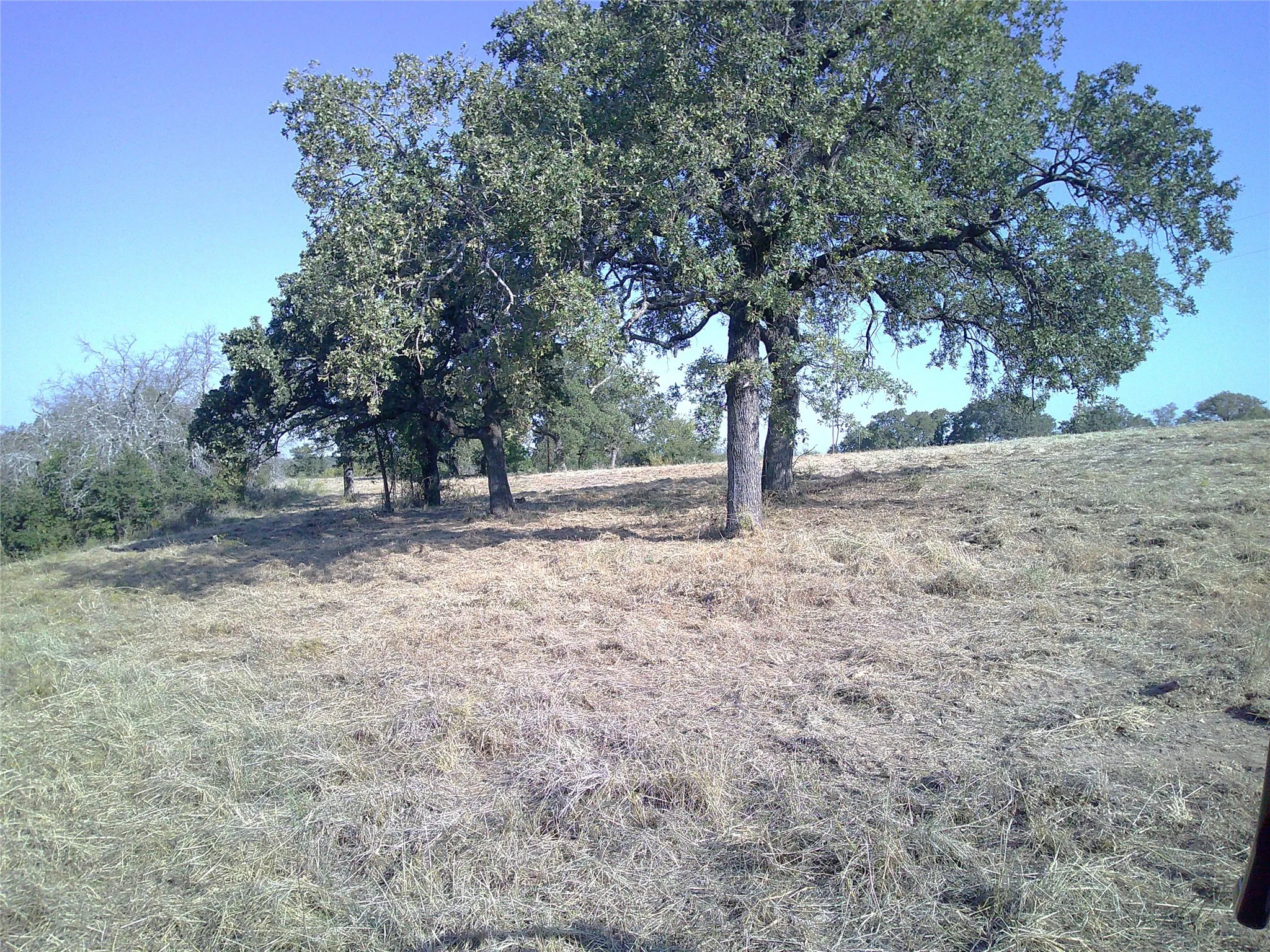 Ranch For Sale in Wise County , 72 ac CR 3677, Paradise, Texas 76073, 0, 0, Garage spaces, 0 Sqft, built in 0, Price $785,000, mls#20763482, Real Estate Agent in Paradise, Homes For Sale in Wise county, Homes For Sale in Paradise, Realtor in Paradise Texas, Real Estate Brokerage Independent Realty Texas, Luminita Cordes Realtor
