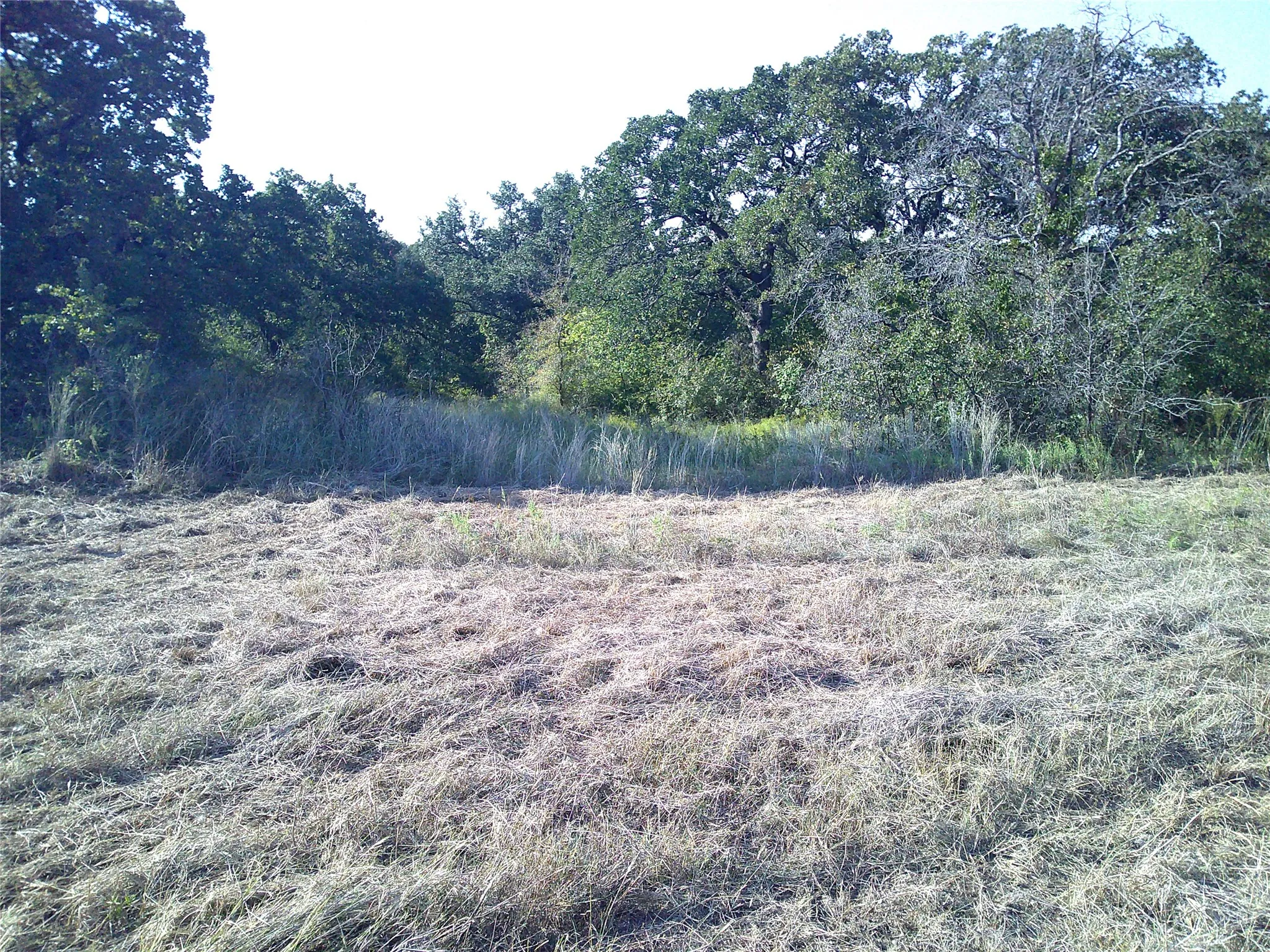 Ranch For Sale in Wise County , 72 ac CR 3677, Paradise, Texas 76073, 0, 0, Garage spaces, 0 Sqft, built in 0, Price $785,000, mls#20763482, Real Estate Agent in Paradise, Homes For Sale in Wise county, Homes For Sale in Paradise, Realtor in Paradise Texas, Real Estate Brokerage Independent Realty Texas, Luminita Cordes Realtor