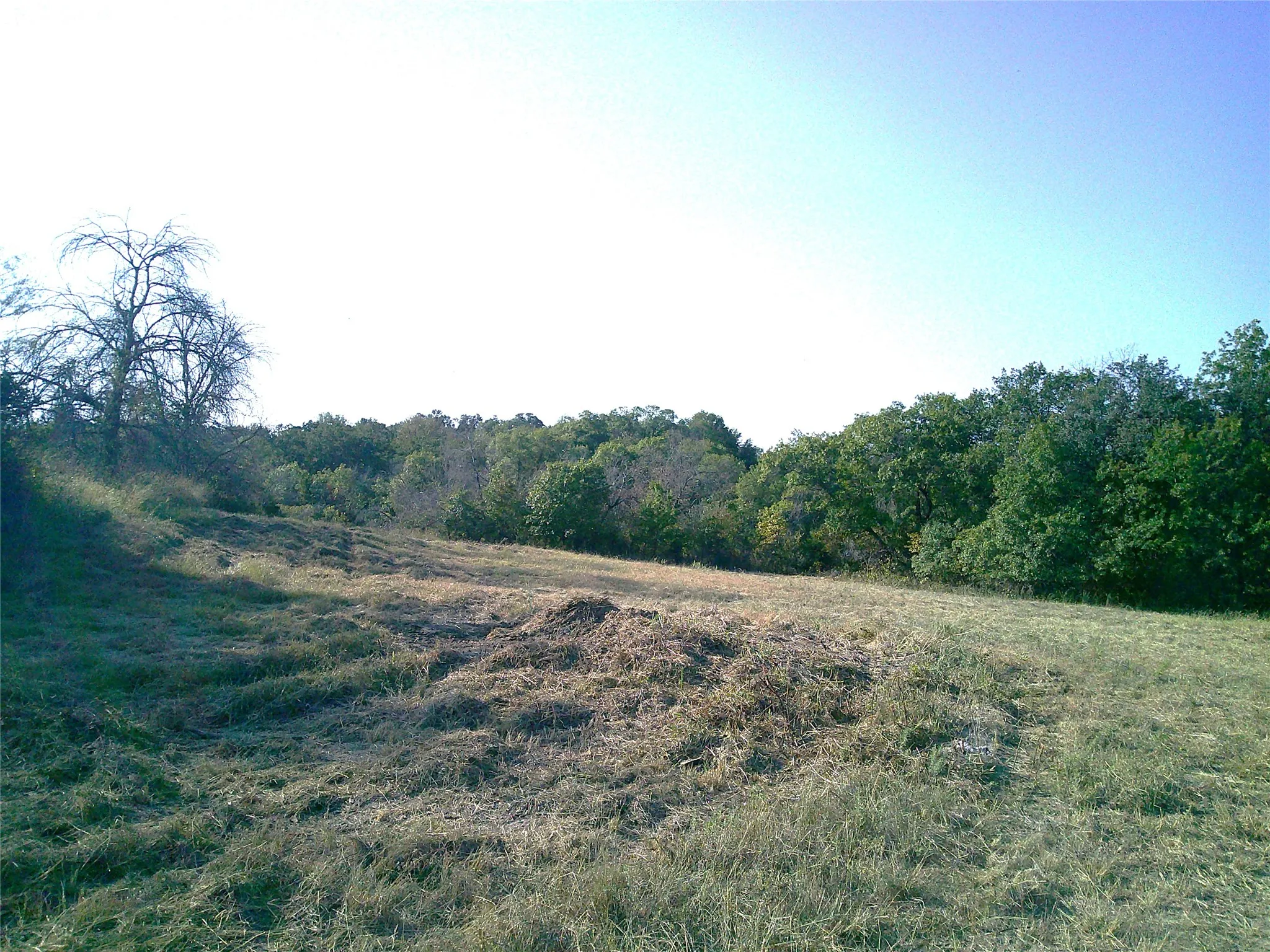 Ranch For Sale in Wise County , 72 ac CR 3677, Paradise, Texas 76073, 0, 0, Garage spaces, 0 Sqft, built in 0, Price $785,000, mls#20763482, Real Estate Agent in Paradise, Homes For Sale in Wise county, Homes For Sale in Paradise, Realtor in Paradise Texas, Real Estate Brokerage Independent Realty Texas, Luminita Cordes Realtor