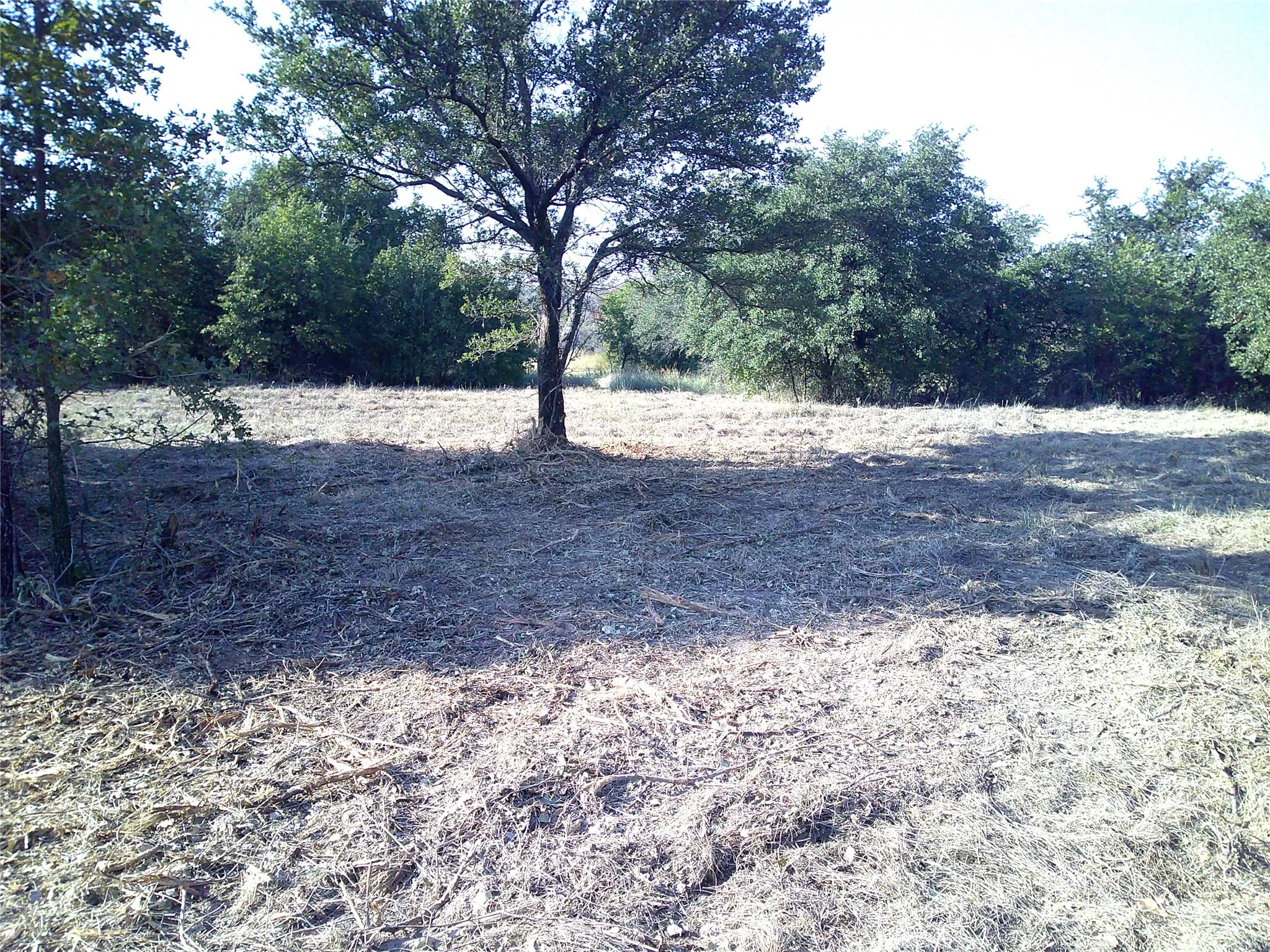 Ranch For Sale in Wise County , 72 ac CR 3677, Paradise, Texas 76073, 0, 0, Garage spaces, 0 Sqft, built in 0, Price $785,000, mls#20763482, Real Estate Agent in Paradise, Homes For Sale in Wise county, Homes For Sale in Paradise, Realtor in Paradise Texas, Real Estate Brokerage Independent Realty Texas, Luminita Cordes Realtor