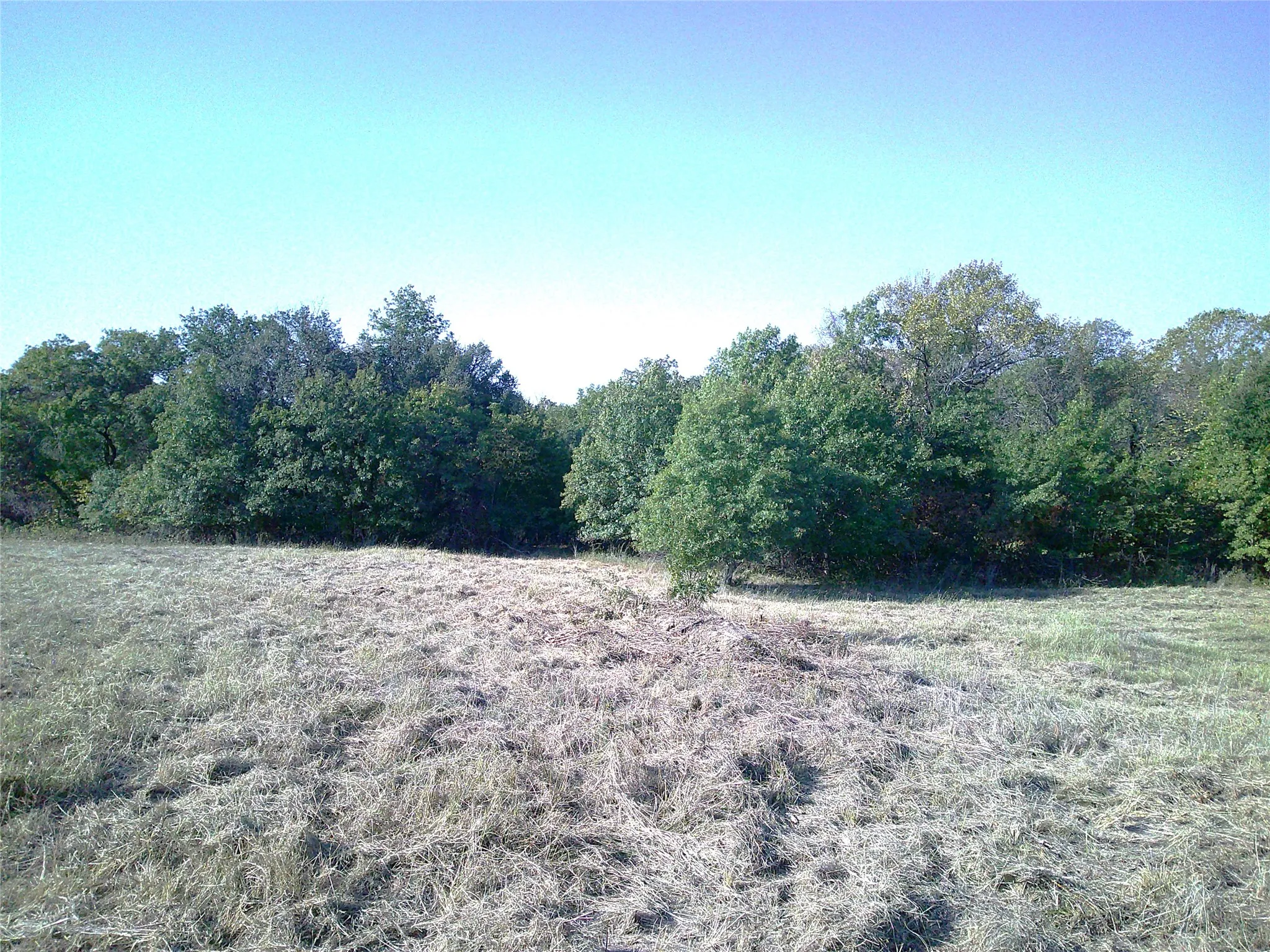 Ranch For Sale in Wise County , 72 ac CR 3677, Paradise, Texas 76073, 0, 0, Garage spaces, 0 Sqft, built in 0, Price $785,000, mls#20763482, Real Estate Agent in Paradise, Homes For Sale in Wise county, Homes For Sale in Paradise, Realtor in Paradise Texas, Real Estate Brokerage Independent Realty Texas, Luminita Cordes Realtor