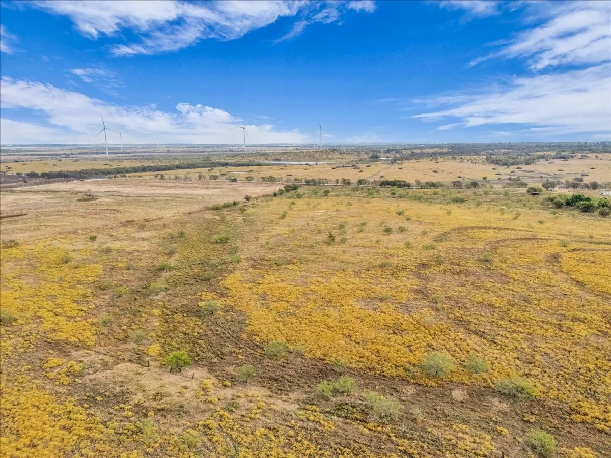 Ranch For Sale in Hill County , TBD County Road 3254, Mount Calm, Texas 76673, 0, 0, Garage spaces, 0 Sqft, built in 0, mls#20763082, Real Estate Agent in Mount Calm, Homes For Sale in Hill county, Homes For Sale in Mount Calm, Realtor in Mount Calm Texas, Real Estate Brokerage Independent Realty Texas, Luminita Cordes Realtor