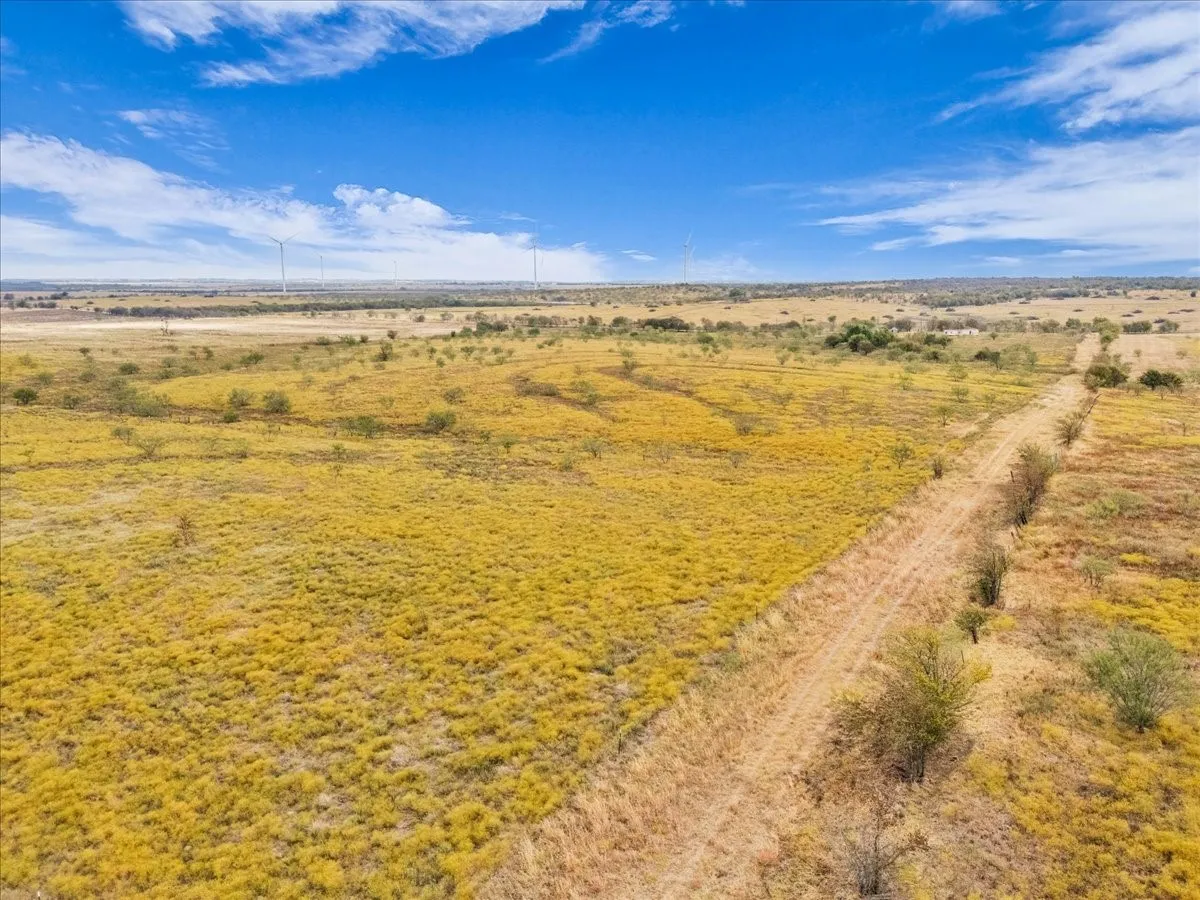 Ranch For Sale in Hill County , TBD County Road 3254, Mount Calm, Texas 76673, 0, 0, Garage spaces, 0 Sqft, built in 0, mls#20763082, Real Estate Agent in Mount Calm, Homes For Sale in Hill county, Homes For Sale in Mount Calm, Realtor in Mount Calm Texas, Real Estate Brokerage Independent Realty Texas, Luminita Cordes Realtor