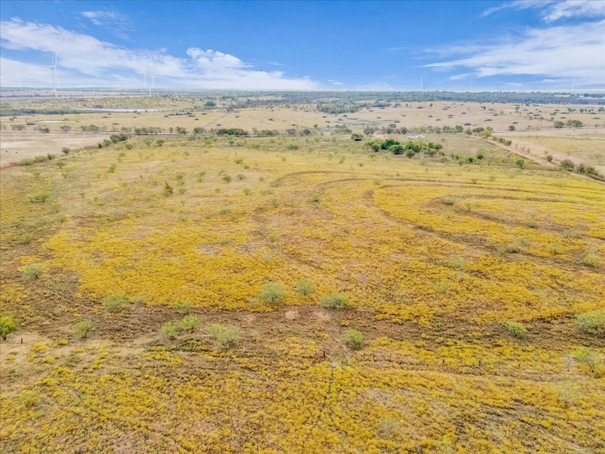 Ranch For Sale in Hill County , TBD County Road 3254, Mount Calm, Texas 76673, 0, 0, Garage spaces, 0 Sqft, built in 0, mls#20763082, Real Estate Agent in Mount Calm, Homes For Sale in Hill county, Homes For Sale in Mount Calm, Realtor in Mount Calm Texas, Real Estate Brokerage Independent Realty Texas, Luminita Cordes Realtor