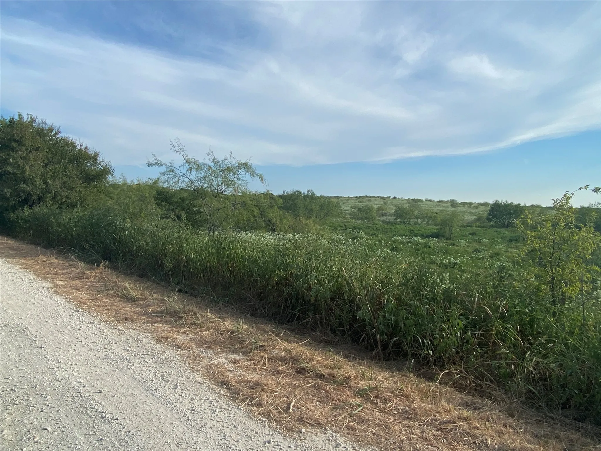 Ranch For Sale in Hill County , TBD County Road 3254, Mount Calm, Texas 76673, 0, 0, Garage spaces, 0 Sqft, built in 0, mls#20763082, Real Estate Agent in Mount Calm, Homes For Sale in Hill county, Homes For Sale in Mount Calm, Realtor in Mount Calm Texas, Real Estate Brokerage Independent Realty Texas, Luminita Cordes Realtor
