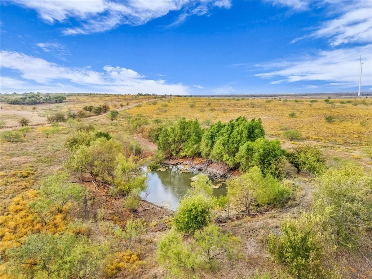 Ranch For Sale in Hill County , TBD County Road 3254, Mount Calm, Texas 76673, 0, 0, Garage spaces, 0 Sqft, built in 0, mls#20763082, Real Estate Agent in Mount Calm, Homes For Sale in Hill county, Homes For Sale in Mount Calm, Realtor in Mount Calm Texas, Real Estate Brokerage Independent Realty Texas, Luminita Cordes Realtor