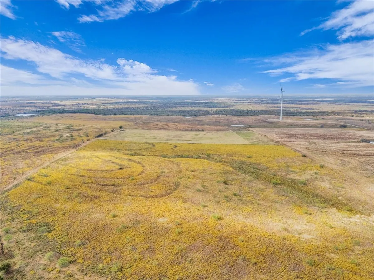 Ranch For Sale in Hill County , TBD County Road 3254, Mount Calm, Texas 76673, 0, 0, Garage spaces, 0 Sqft, built in 0, mls#20763082, Real Estate Agent in Mount Calm, Homes For Sale in Hill county, Homes For Sale in Mount Calm, Realtor in Mount Calm Texas, Real Estate Brokerage Independent Realty Texas, Luminita Cordes Realtor