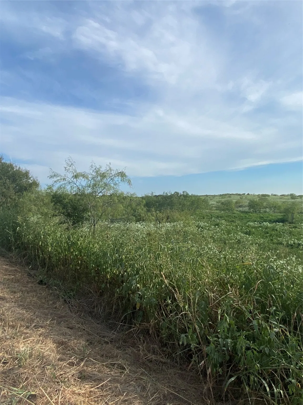 Ranch For Sale in Hill County , TBD County Road 3254, Mount Calm, Texas 76673, 0, 0, Garage spaces, 0 Sqft, built in 0, mls#20763082, Real Estate Agent in Mount Calm, Homes For Sale in Hill county, Homes For Sale in Mount Calm, Realtor in Mount Calm Texas, Real Estate Brokerage Independent Realty Texas, Luminita Cordes Realtor