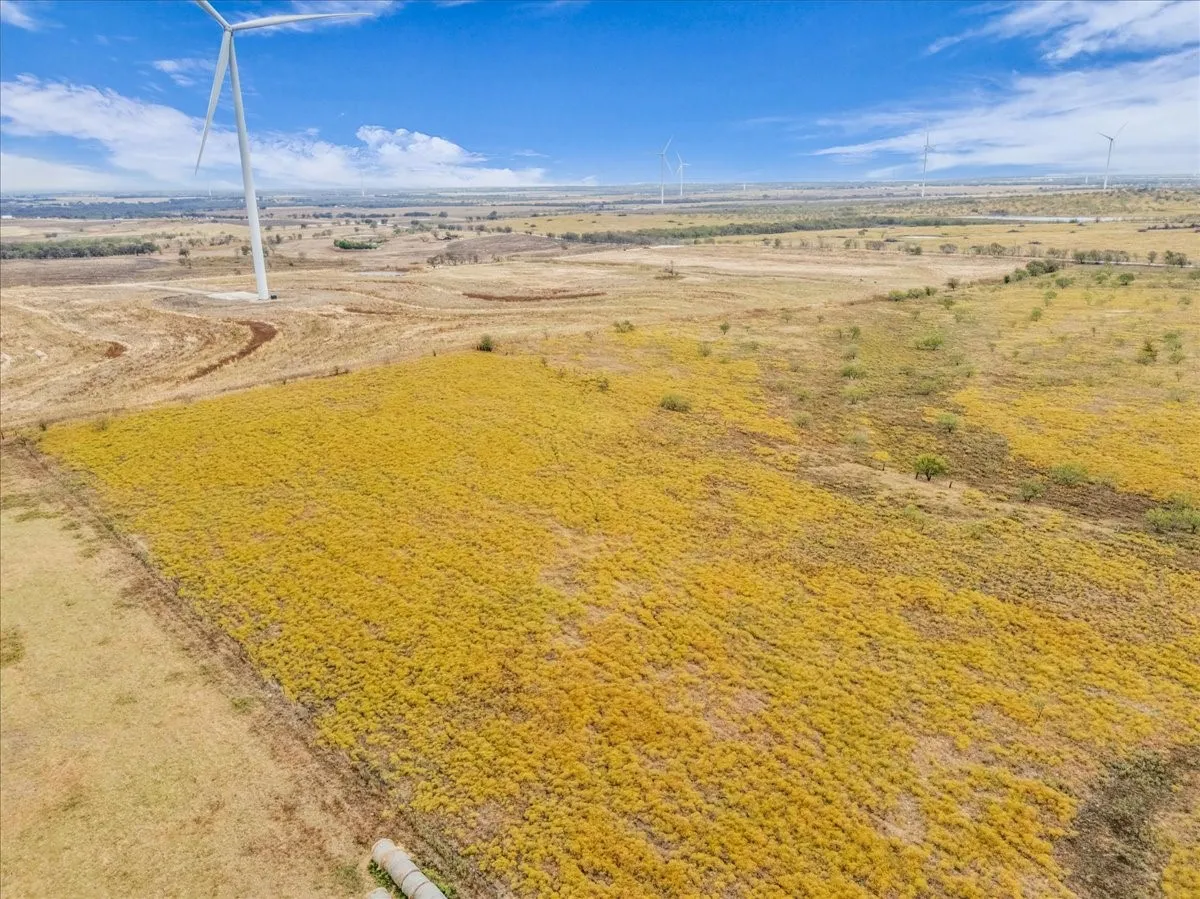 Ranch For Sale in Hill County , TBD County Road 3254, Mount Calm, Texas 76673, 0, 0, Garage spaces, 0 Sqft, built in 0, mls#20763082, Real Estate Agent in Mount Calm, Homes For Sale in Hill county, Homes For Sale in Mount Calm, Realtor in Mount Calm Texas, Real Estate Brokerage Independent Realty Texas, Luminita Cordes Realtor
