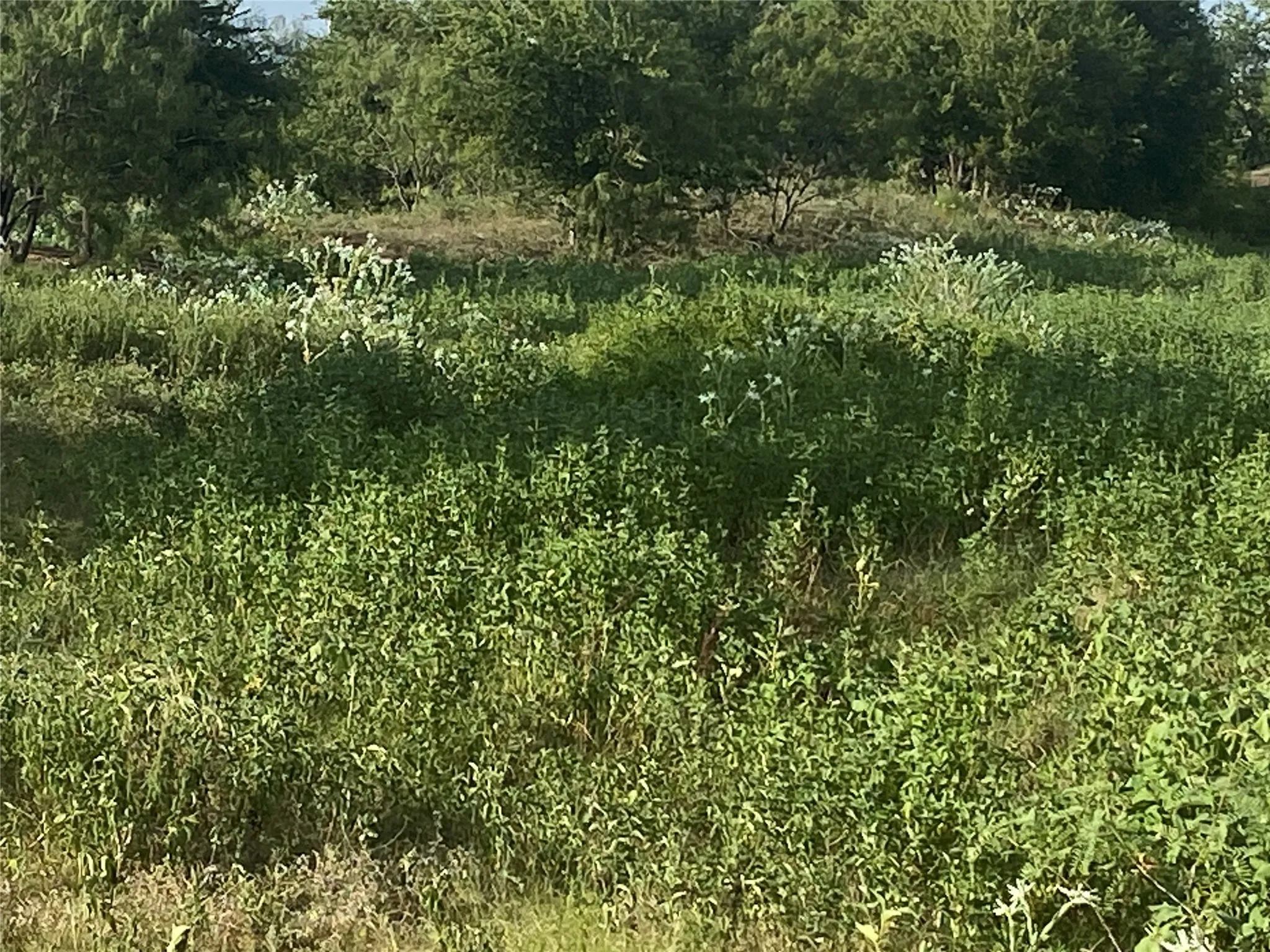Ranch For Sale in Hill County , TBD County Road 3254, Mount Calm, Texas 76673, 0, 0, Garage spaces, 0 Sqft, built in 0, mls#20763082, Real Estate Agent in Mount Calm, Homes For Sale in Hill county, Homes For Sale in Mount Calm, Realtor in Mount Calm Texas, Real Estate Brokerage Independent Realty Texas, Luminita Cordes Realtor