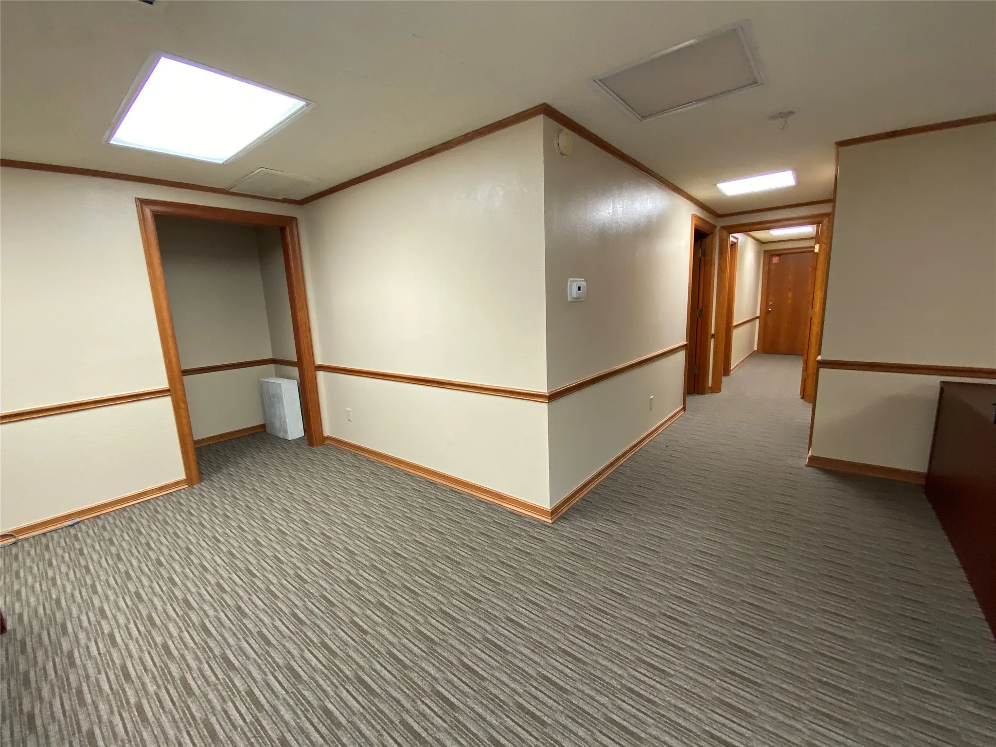 Spare room with carpet, crown molding, and radiator