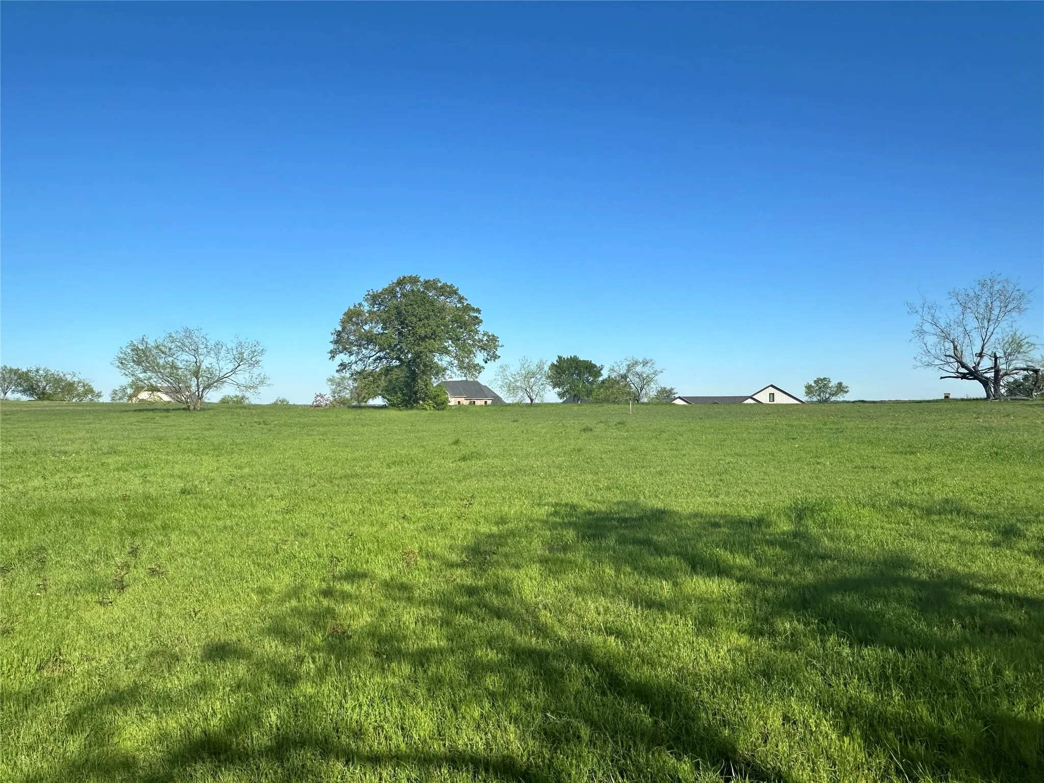 Unimproved Land For Sale in Navarro County , Lot 81 Moonlight Bay Court, Streetman, Texas 75859, 0, 0, Garage spaces, 0 Sqft, built in 0, mls#20740734, Real Estate Agent in Streetman, Homes For Sale in Navarro county, Homes For Sale in Streetman, Realtor in Streetman Texas, Real Estate Brokerage Independent Realty Texas, Luminita Cordes Realtor