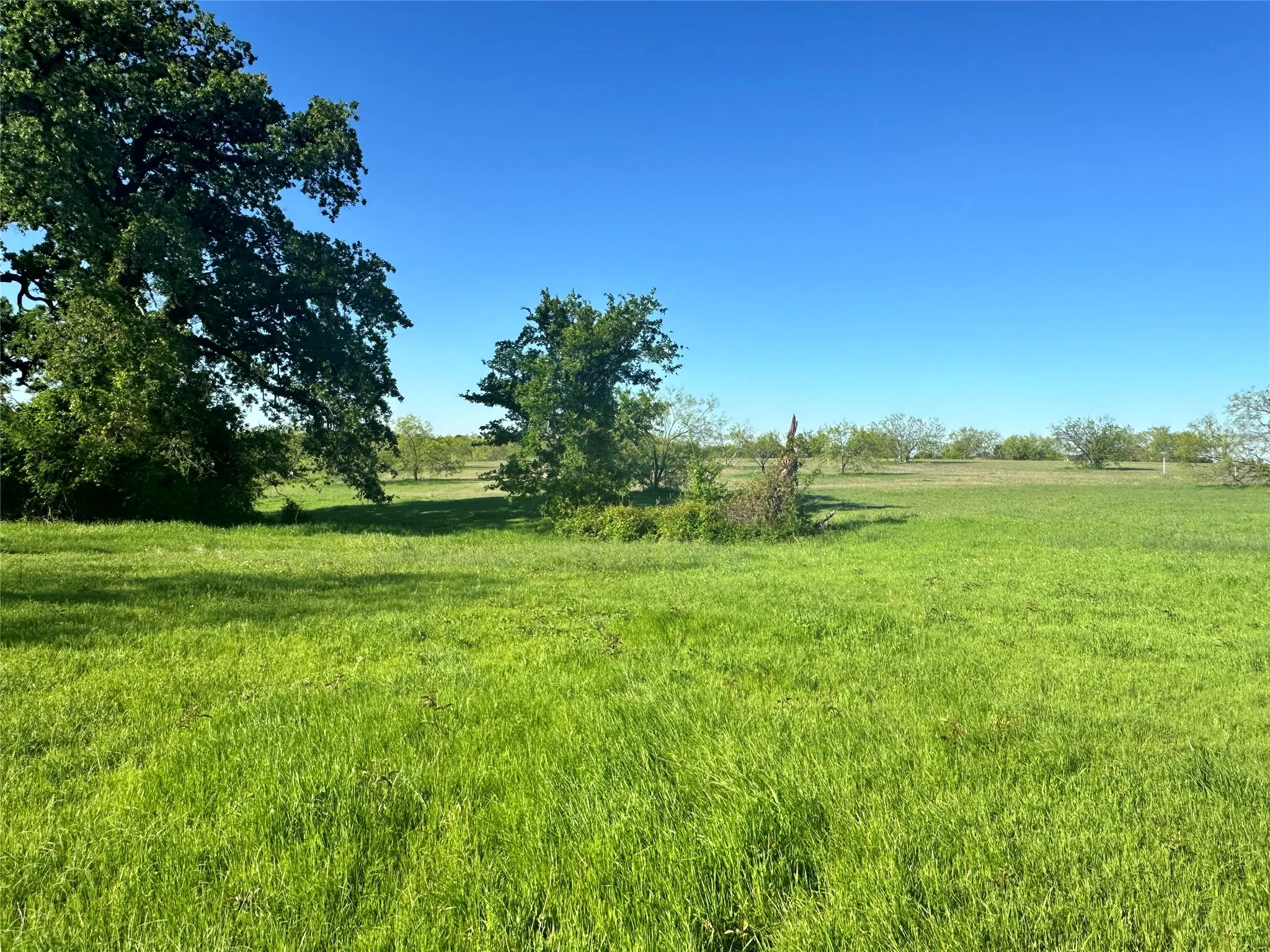 Unimproved Land For Sale in Navarro County , Lot 81 Moonlight Bay Court, Streetman, Texas 75859, 0, 0, Garage spaces, 0 Sqft, built in 0, mls#20740734, Real Estate Agent in Streetman, Homes For Sale in Navarro county, Homes For Sale in Streetman, Realtor in Streetman Texas, Real Estate Brokerage Independent Realty Texas, Luminita Cordes Realtor