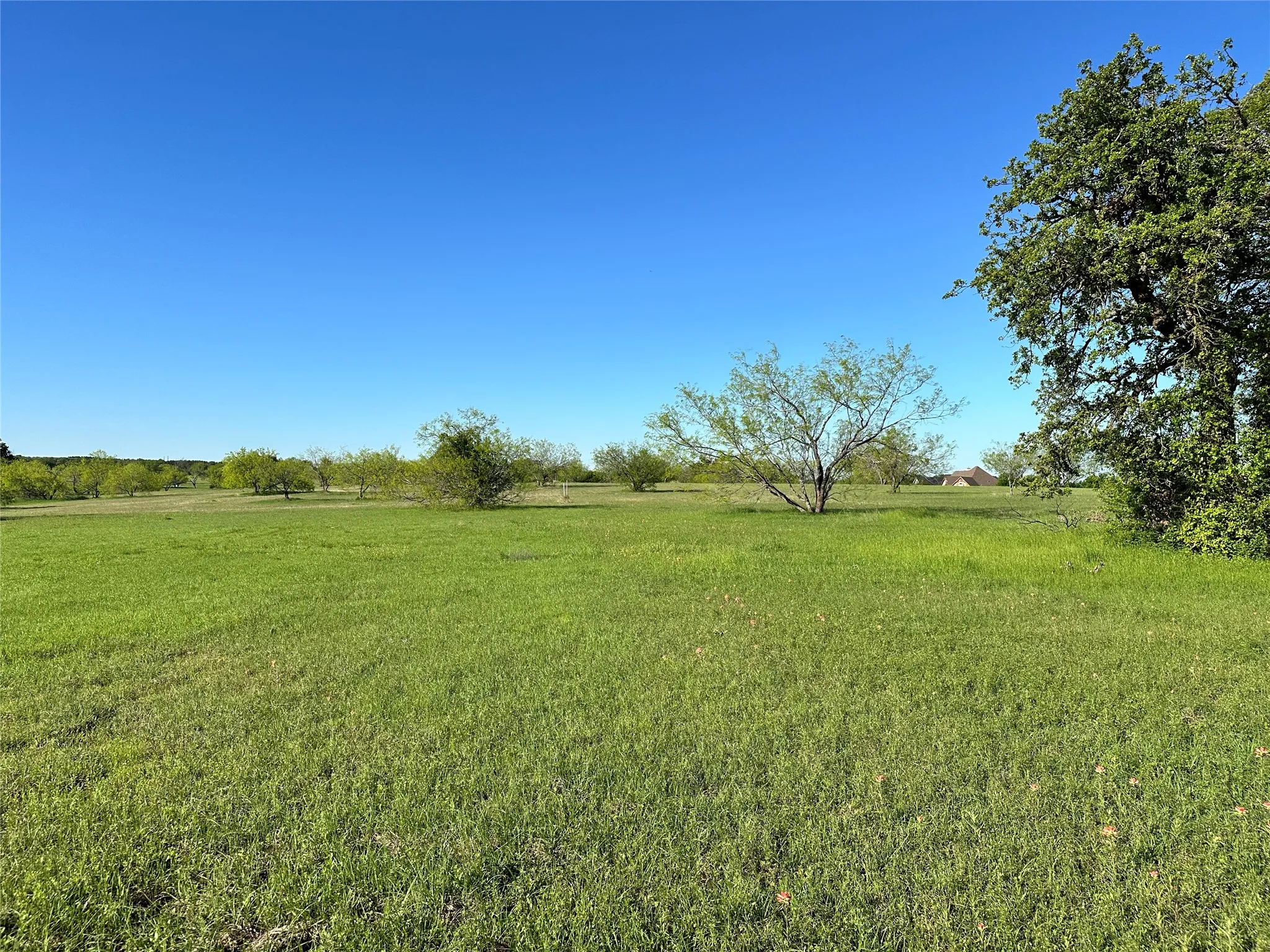 Unimproved Land For Sale in Navarro County , Lot 81 Moonlight Bay Court, Streetman, Texas 75859, 0, 0, Garage spaces, 0 Sqft, built in 0, mls#20740734, Real Estate Agent in Streetman, Homes For Sale in Navarro county, Homes For Sale in Streetman, Realtor in Streetman Texas, Real Estate Brokerage Independent Realty Texas, Luminita Cordes Realtor