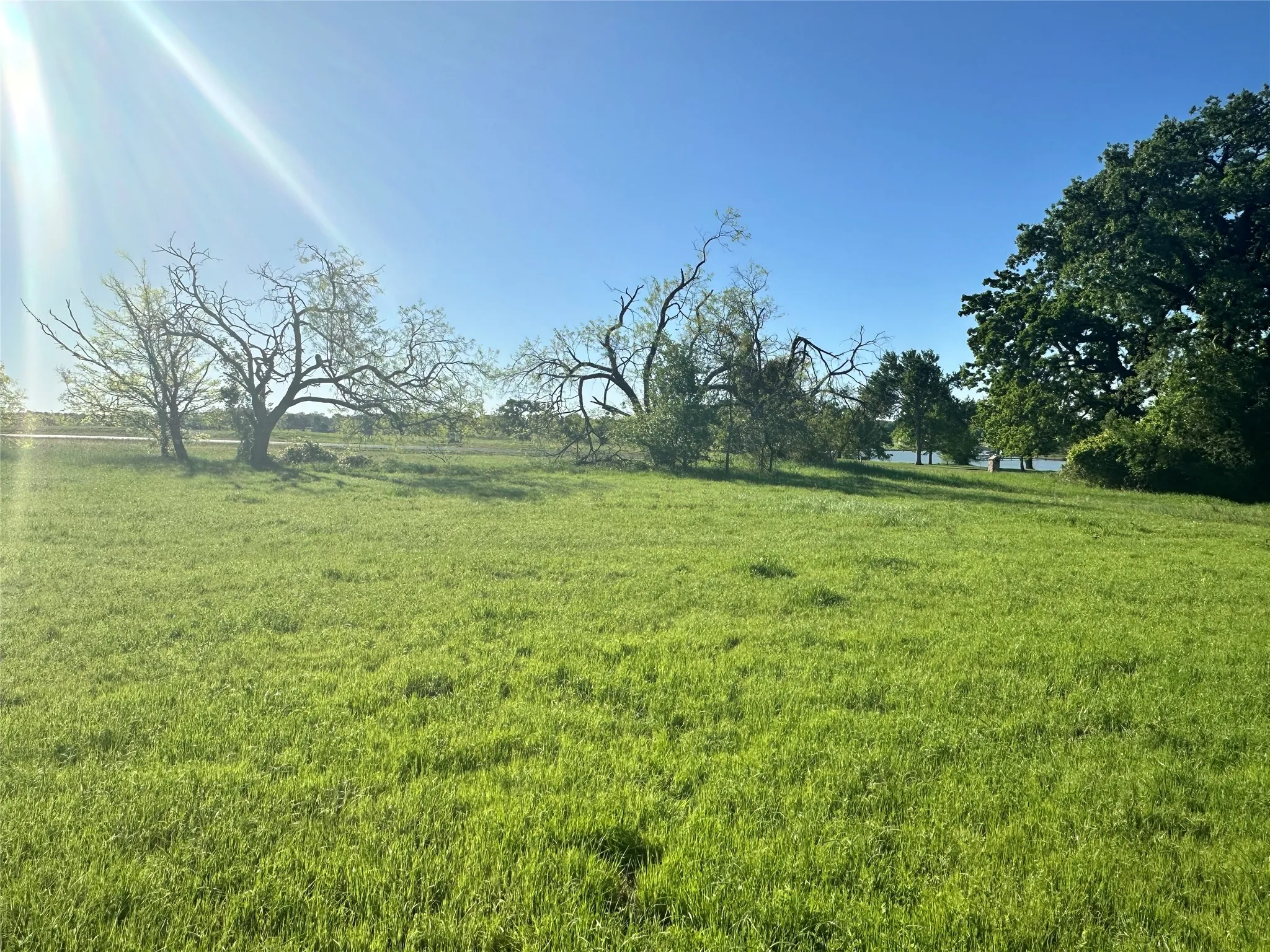 Unimproved Land For Sale in Navarro County , Lot 81 Moonlight Bay Court, Streetman, Texas 75859, 0, 0, Garage spaces, 0 Sqft, built in 0, mls#20740734, Real Estate Agent in Streetman, Homes For Sale in Navarro county, Homes For Sale in Streetman, Realtor in Streetman Texas, Real Estate Brokerage Independent Realty Texas, Luminita Cordes Realtor