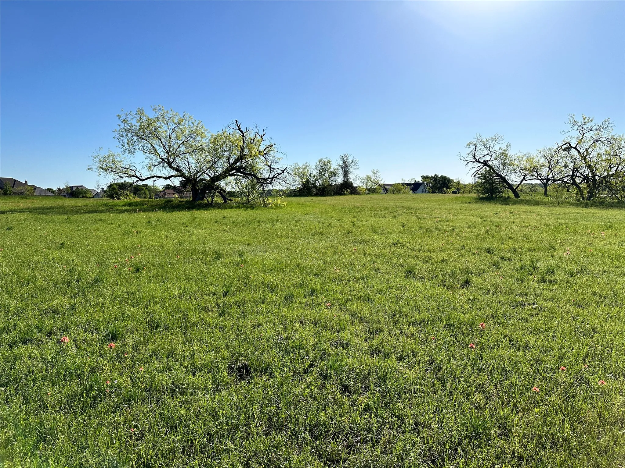 Unimproved Land For Sale in Navarro County , Lot 81 Moonlight Bay Court, Streetman, Texas 75859, 0, 0, Garage spaces, 0 Sqft, built in 0, mls#20740734, Real Estate Agent in Streetman, Homes For Sale in Navarro county, Homes For Sale in Streetman, Realtor in Streetman Texas, Real Estate Brokerage Independent Realty Texas, Luminita Cordes Realtor