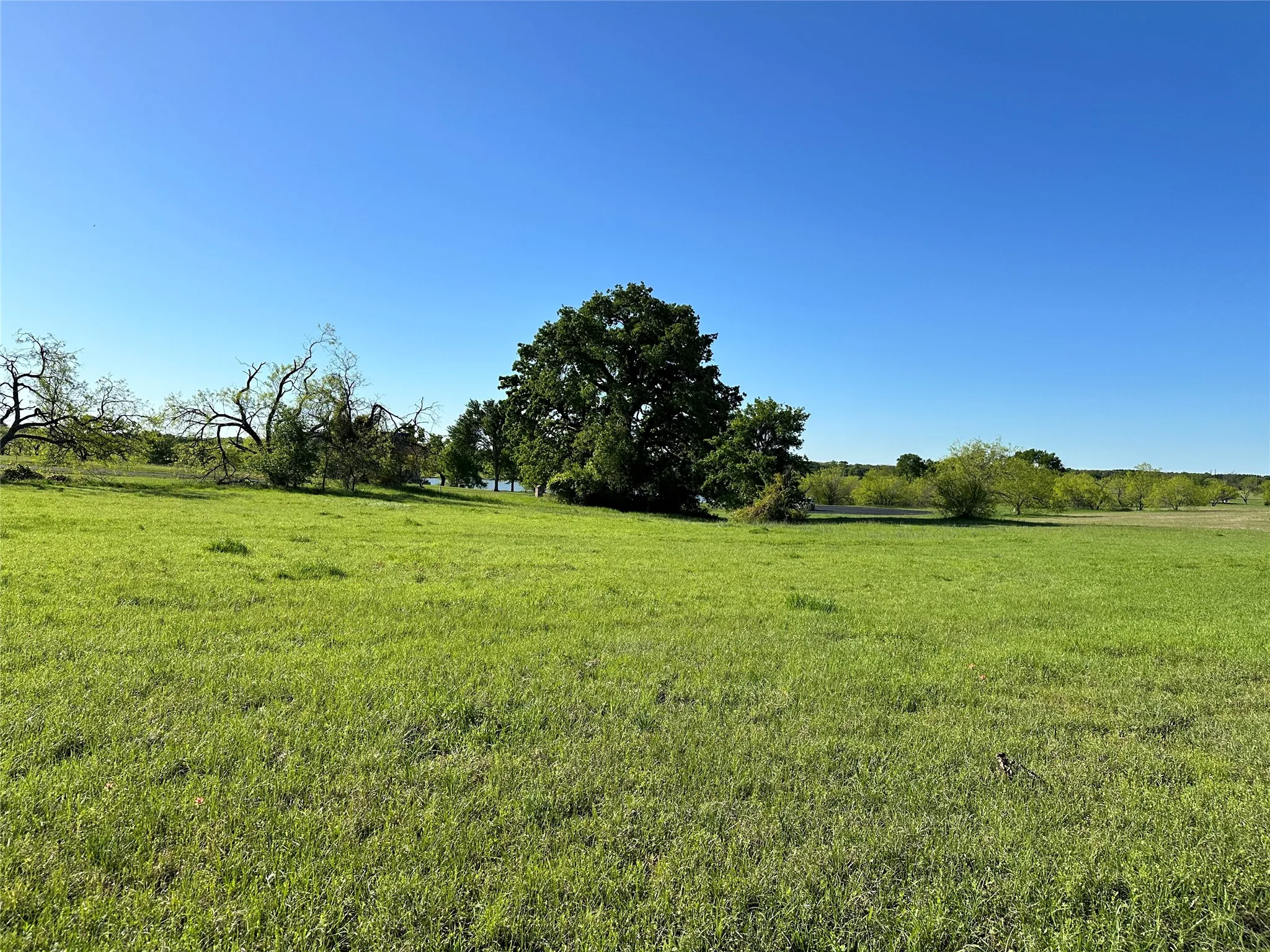 Unimproved Land For Sale in Navarro County , Lot 81 Moonlight Bay Court, Streetman, Texas 75859, 0, 0, Garage spaces, 0 Sqft, built in 0, mls#20740734, Real Estate Agent in Streetman, Homes For Sale in Navarro county, Homes For Sale in Streetman, Realtor in Streetman Texas, Real Estate Brokerage Independent Realty Texas, Luminita Cordes Realtor