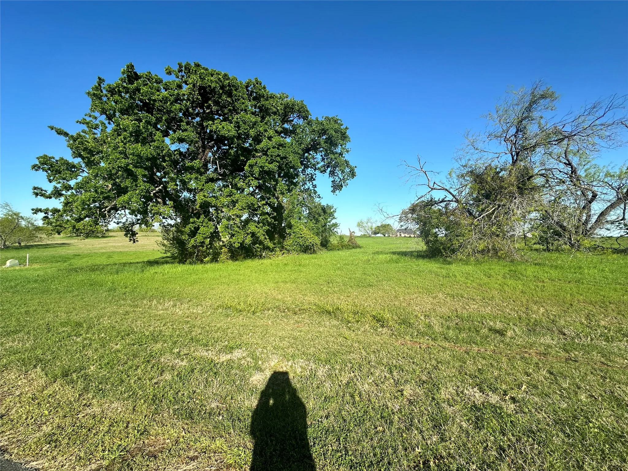 Unimproved Land For Sale in Navarro County , Lot 81 Moonlight Bay Court, Streetman, Texas 75859, 0, 0, Garage spaces, 0 Sqft, built in 0, mls#20740734, Real Estate Agent in Streetman, Homes For Sale in Navarro county, Homes For Sale in Streetman, Realtor in Streetman Texas, Real Estate Brokerage Independent Realty Texas, Luminita Cordes Realtor
