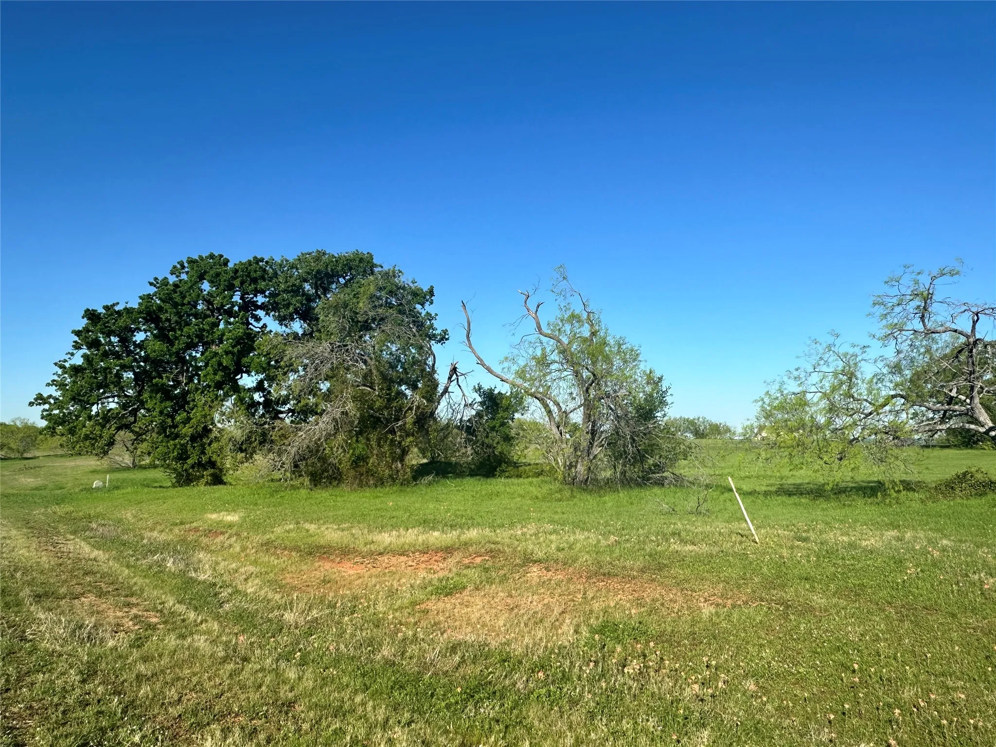 Unimproved Land For Sale in Navarro County , Lot 81 Moonlight Bay Court, Streetman, Texas 75859, 0, 0, Garage spaces, 0 Sqft, built in 0, mls#20740734, Real Estate Agent in Streetman, Homes For Sale in Navarro county, Homes For Sale in Streetman, Realtor in Streetman Texas, Real Estate Brokerage Independent Realty Texas, Luminita Cordes Realtor