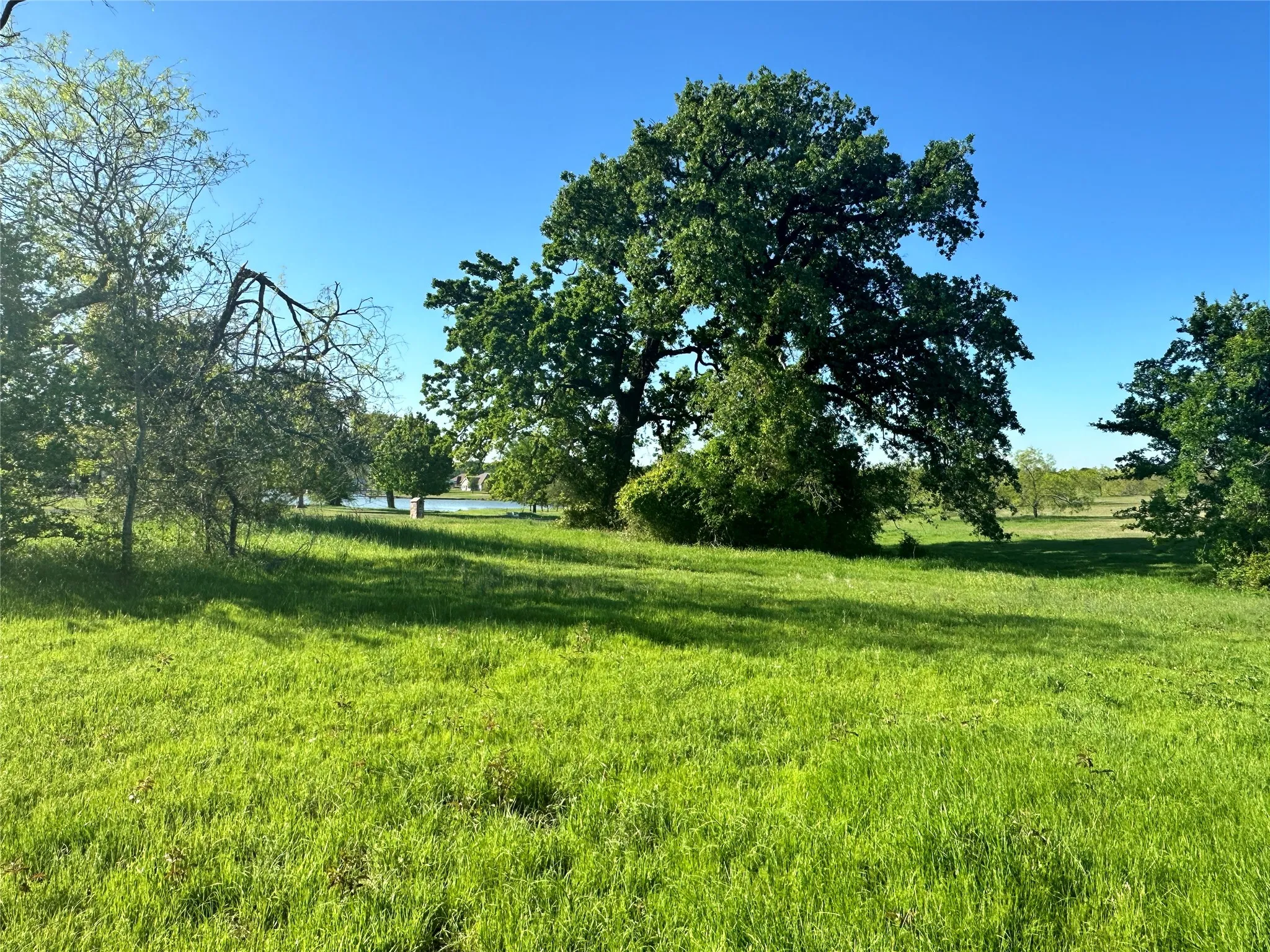 Unimproved Land For Sale in Navarro County , Lot 81 Moonlight Bay Court, Streetman, Texas 75859, 0, 0, Garage spaces, 0 Sqft, built in 0, mls#20740734, Real Estate Agent in Streetman, Homes For Sale in Navarro county, Homes For Sale in Streetman, Realtor in Streetman Texas, Real Estate Brokerage Independent Realty Texas, Luminita Cordes Realtor