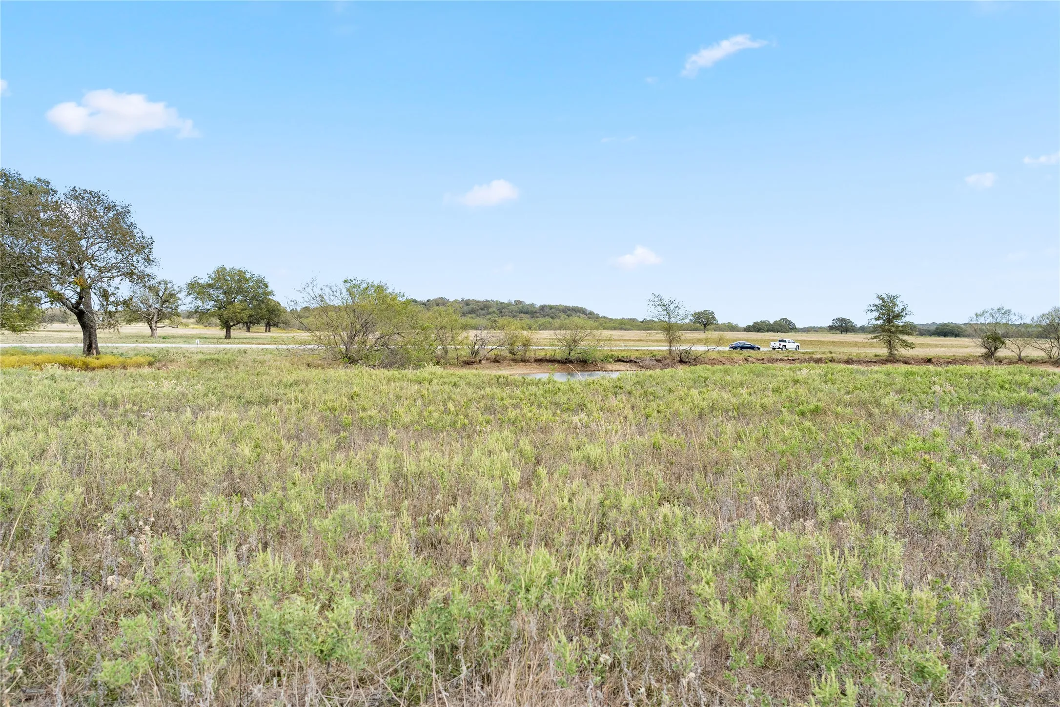 View of local wilderness featuring a rural view