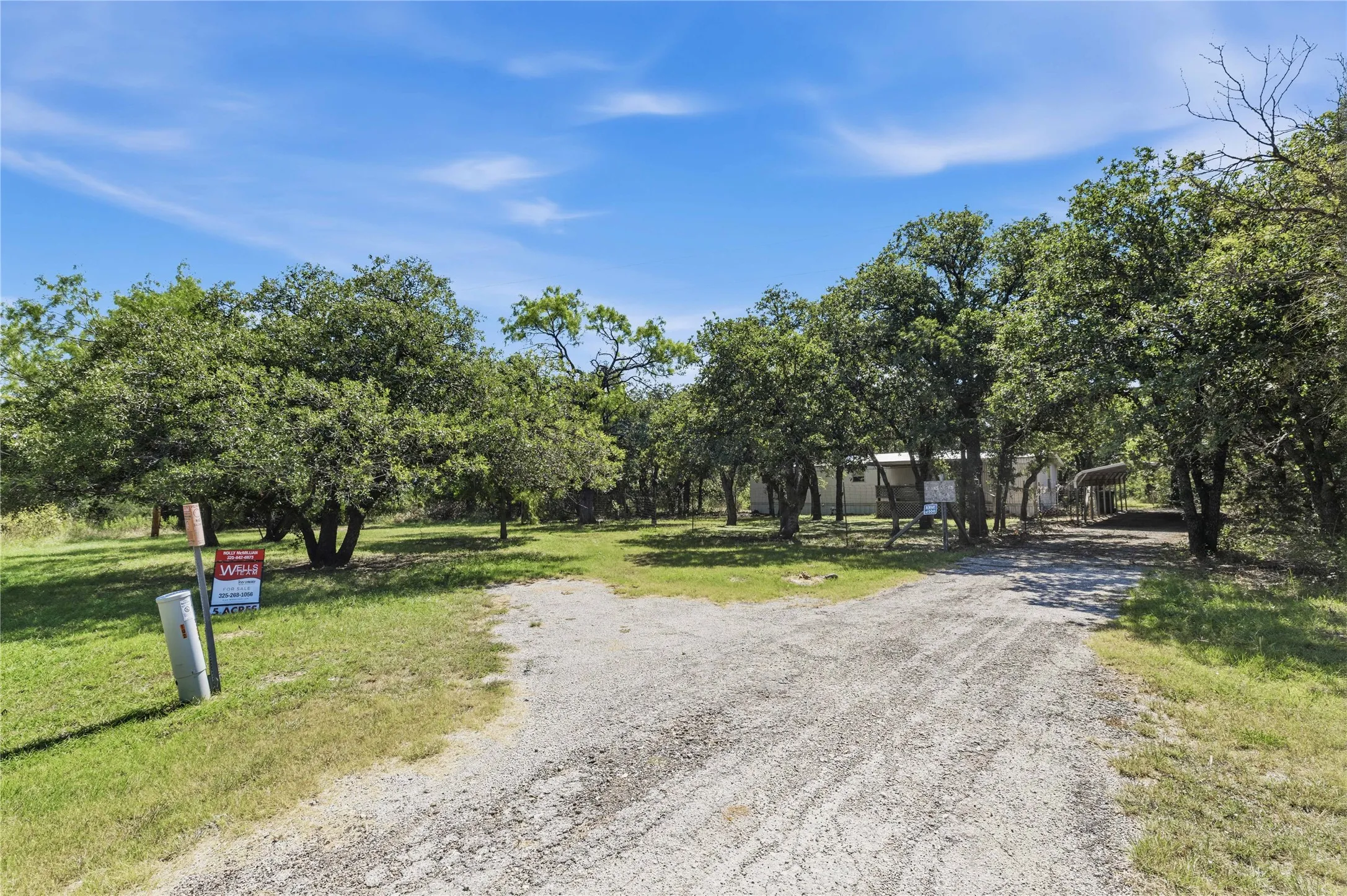 Gravel driveway framed by mature trees leading to a single-story residence with a covered carport