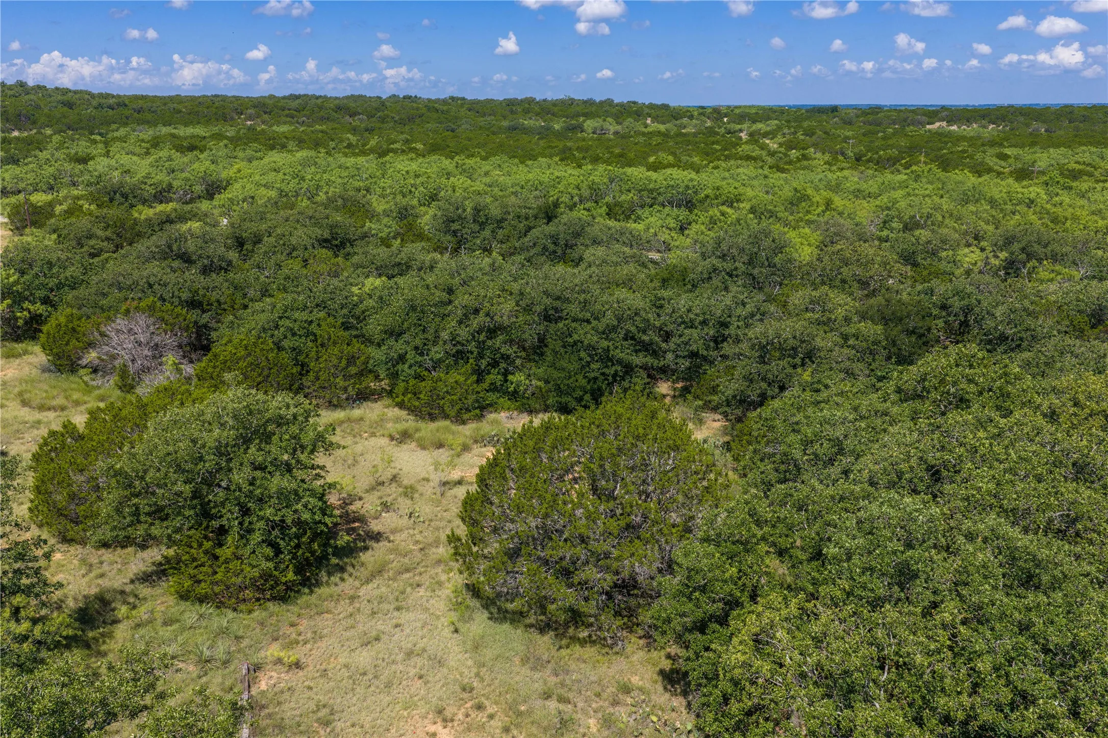 Expansive undeveloped acreage featuring varied vegetation including mature trees and natural grasses