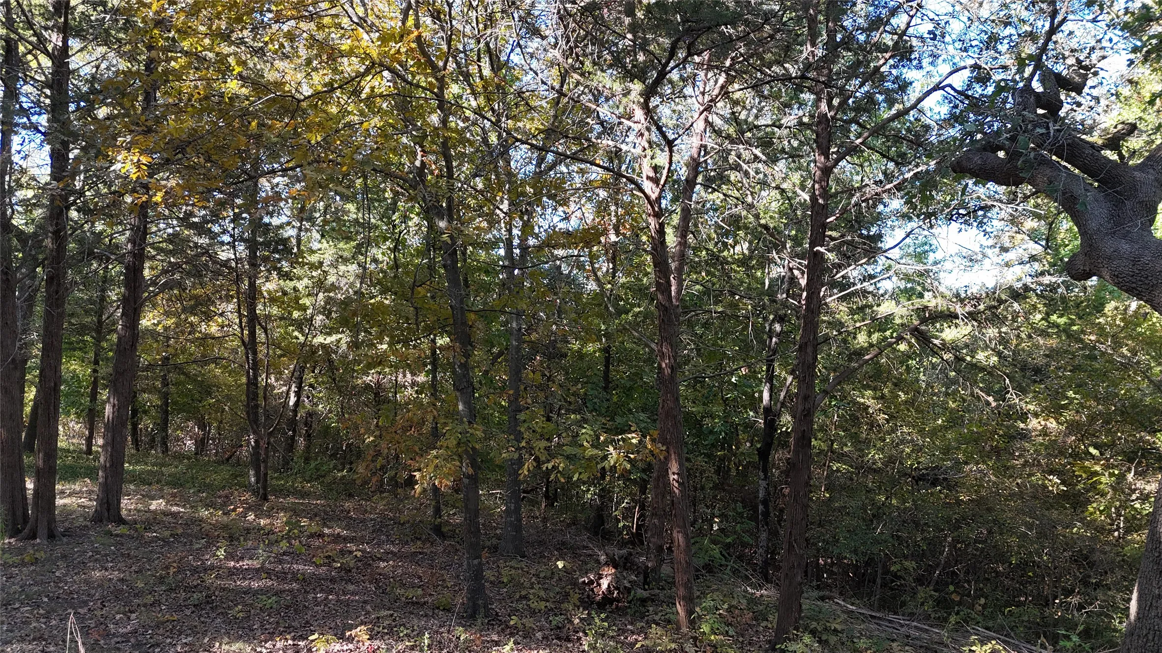 Unimproved Land For Sale in Grayson County , TBD 881-4 Tanglewood Trail, Pottsboro, Texas 75076, 0, 0, Garage spaces, 0 Sqft, built in 0, mls#20770229, Real Estate Agent in Pottsboro, Homes For Sale in Grayson county, Homes For Sale in Pottsboro, Realtor in Pottsboro Texas, Real Estate Brokerage Independent Realty Texas, Luminita Cordes Realtor