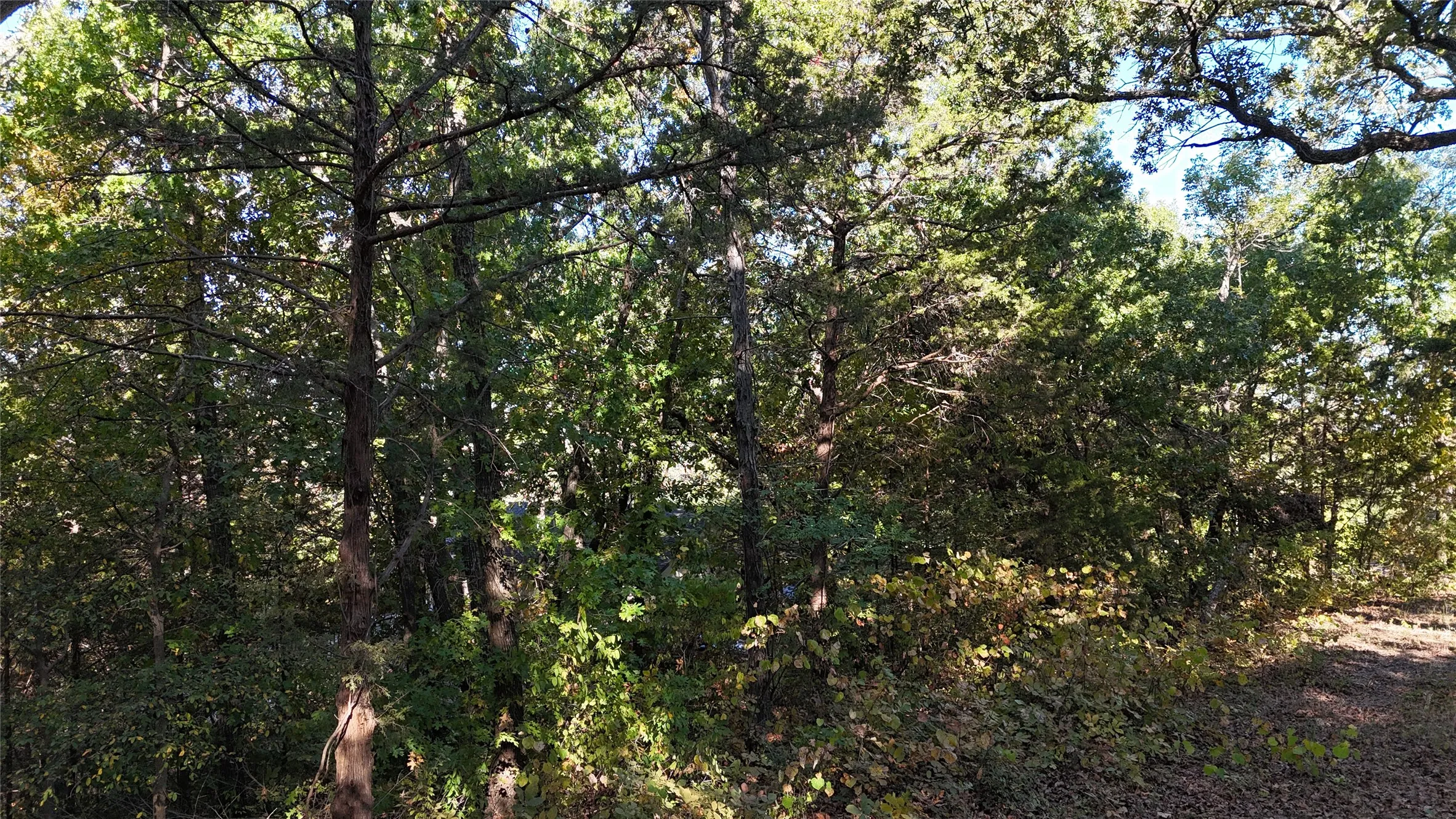 Unimproved Land For Sale in Grayson County , TBD 881-4 Tanglewood Trail, Pottsboro, Texas 75076, 0, 0, Garage spaces, 0 Sqft, built in 0, mls#20770229, Real Estate Agent in Pottsboro, Homes For Sale in Grayson county, Homes For Sale in Pottsboro, Realtor in Pottsboro Texas, Real Estate Brokerage Independent Realty Texas, Luminita Cordes Realtor