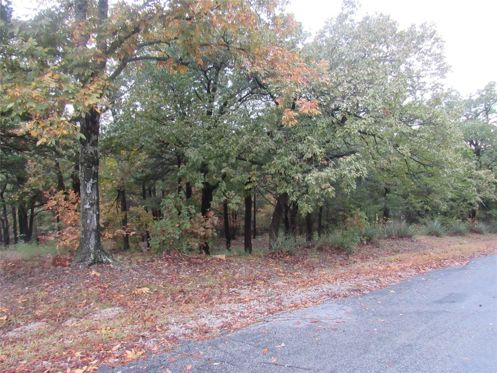 Unimproved Land For Sale in Grayson County , TBD 881-4 Tanglewood Trail, Pottsboro, Texas 75076, 0, 0, Garage spaces, 0 Sqft, built in 0, mls#20770229, Real Estate Agent in Pottsboro, Homes For Sale in Grayson county, Homes For Sale in Pottsboro, Realtor in Pottsboro Texas, Real Estate Brokerage Independent Realty Texas, Luminita Cordes Realtor