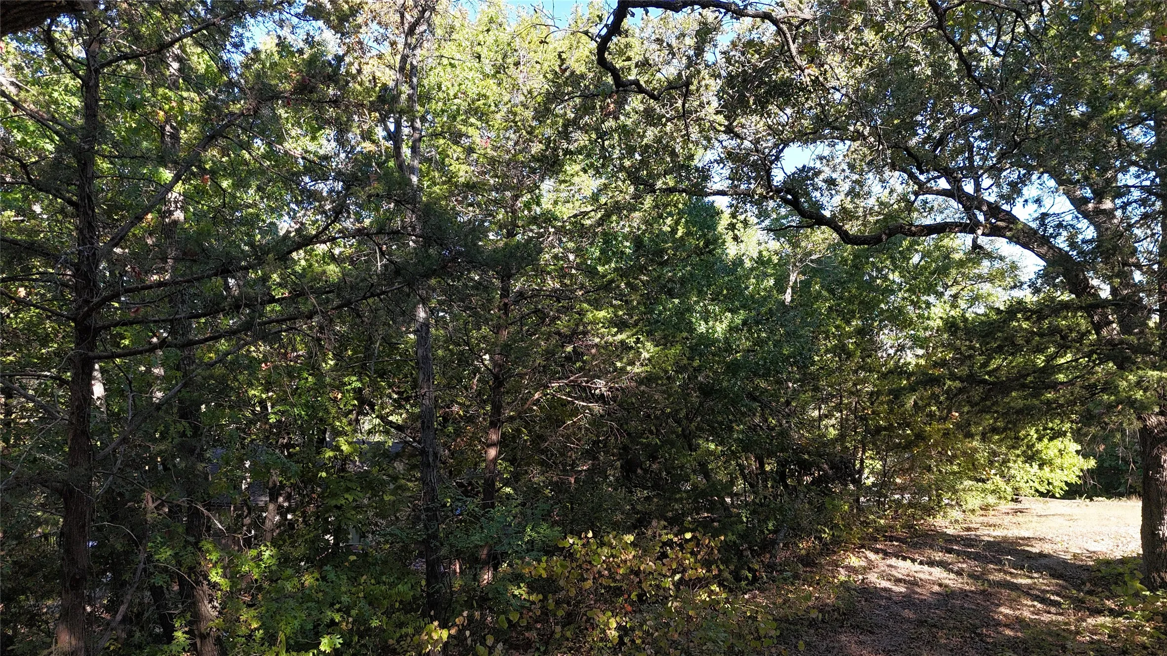 Unimproved Land For Sale in Grayson County , TBD 881-4 Tanglewood Trail, Pottsboro, Texas 75076, 0, 0, Garage spaces, 0 Sqft, built in 0, mls#20770229, Real Estate Agent in Pottsboro, Homes For Sale in Grayson county, Homes For Sale in Pottsboro, Realtor in Pottsboro Texas, Real Estate Brokerage Independent Realty Texas, Luminita Cordes Realtor